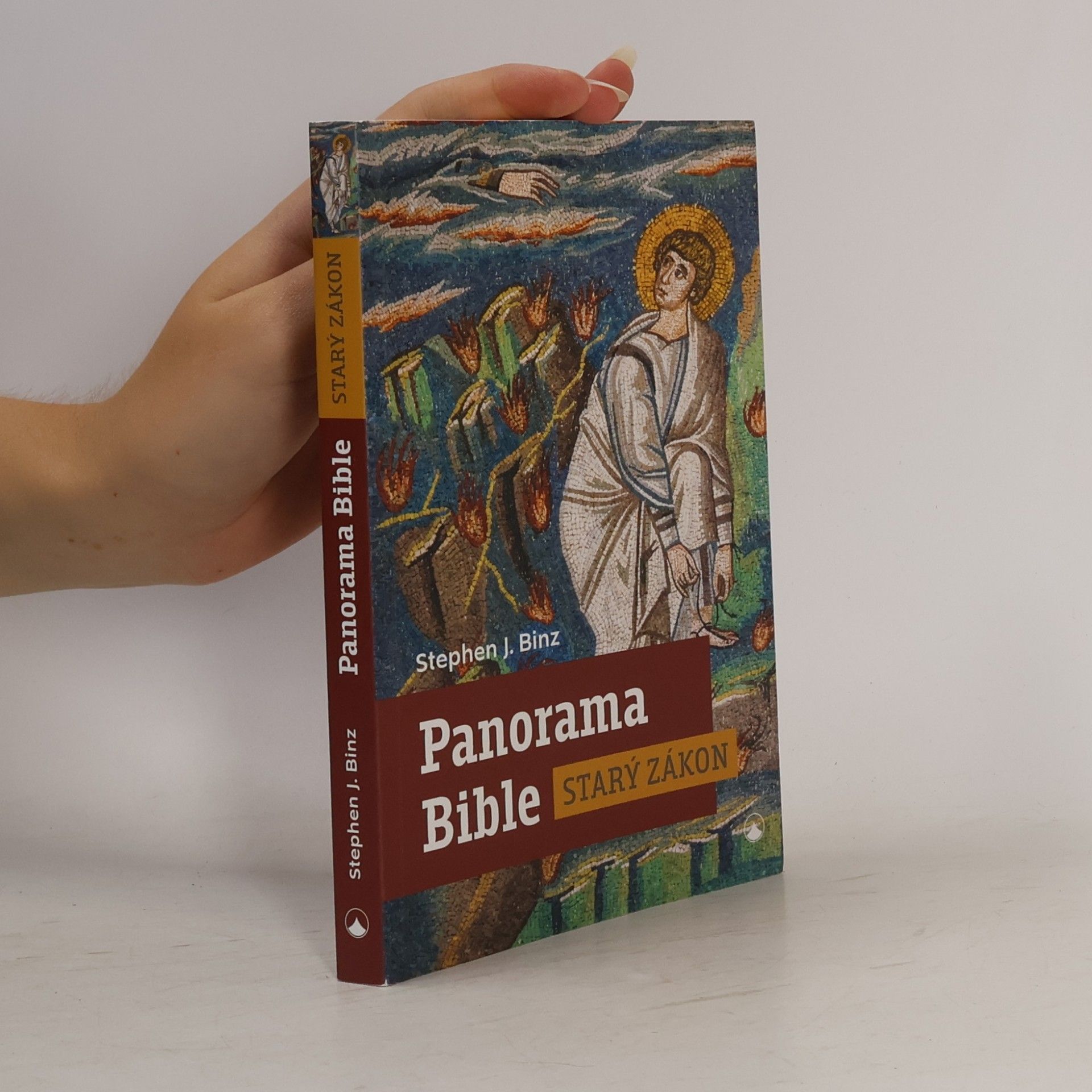 Stephen J. Binz Panorama Bible Starý zákon