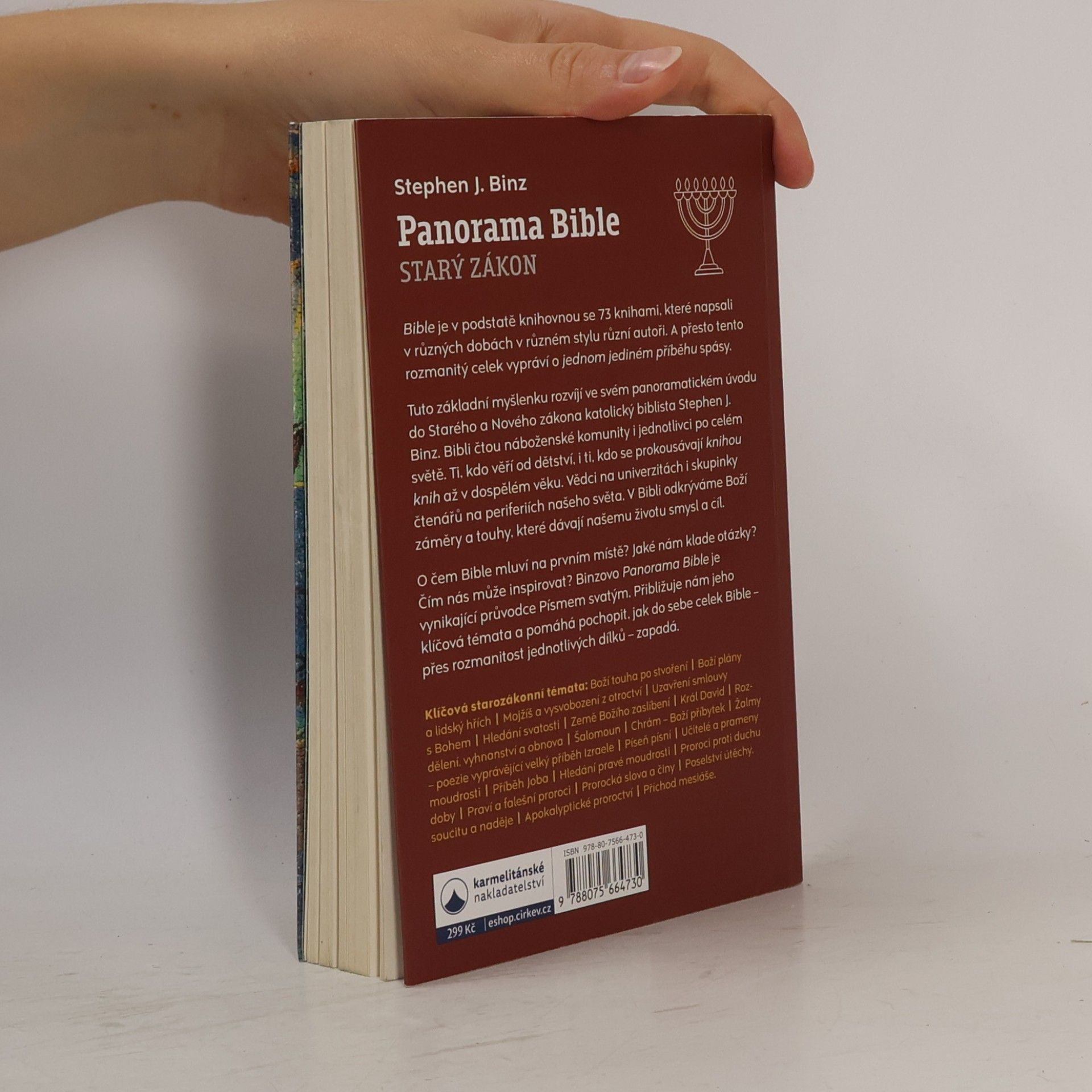 Stephen J. Binz Panorama Bible Starý zákon
