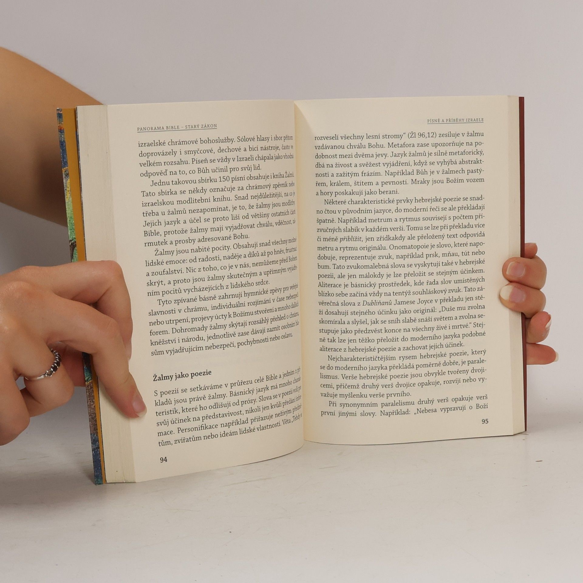Stephen J. Binz Panorama Bible Starý zákon