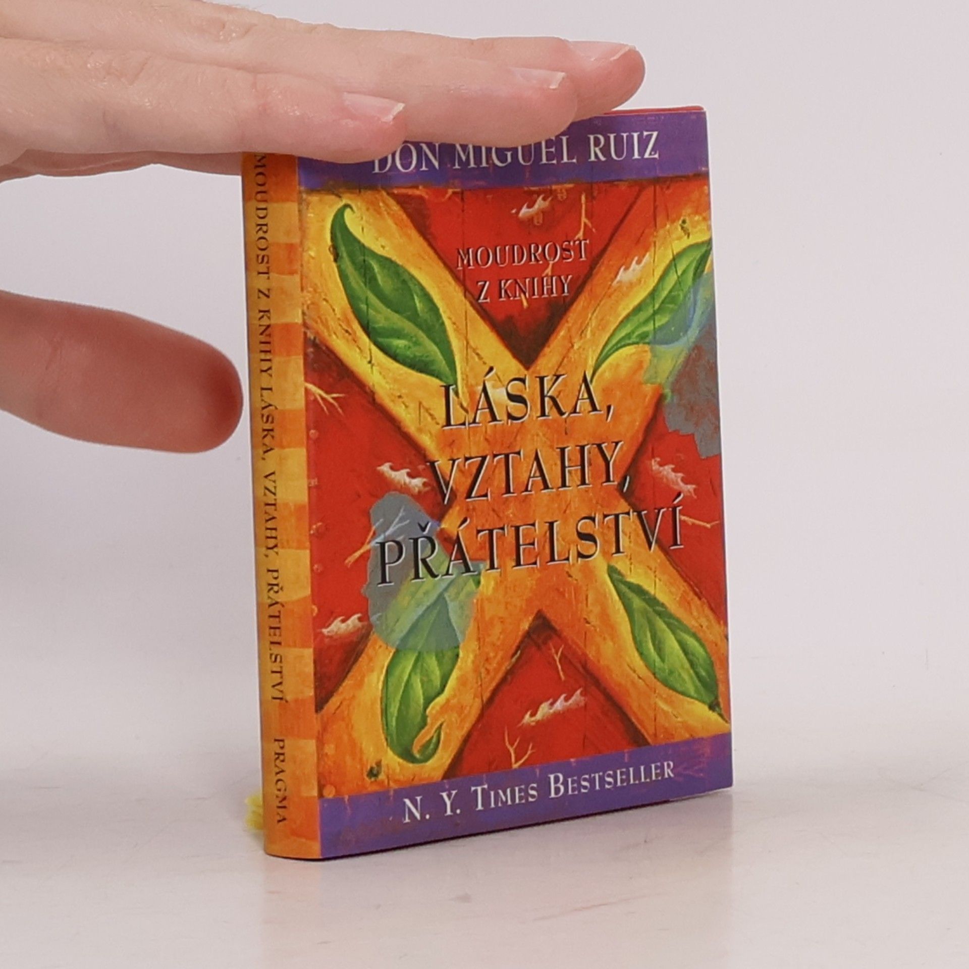 Don Miguel Ruiz Moudrost z knihy Láska, vztahy, přátelství
