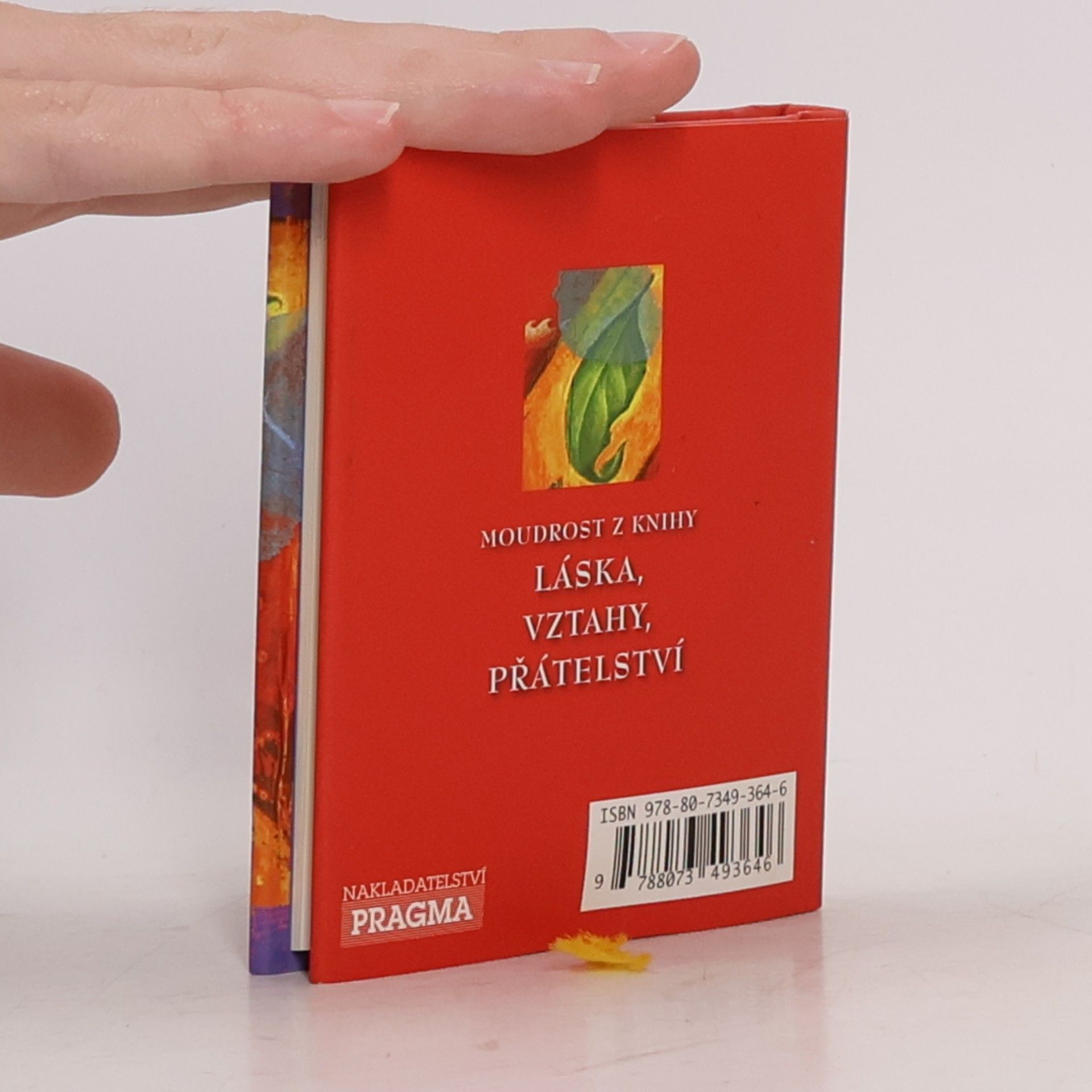Don Miguel Ruiz Moudrost z knihy Láska, vztahy, přátelství