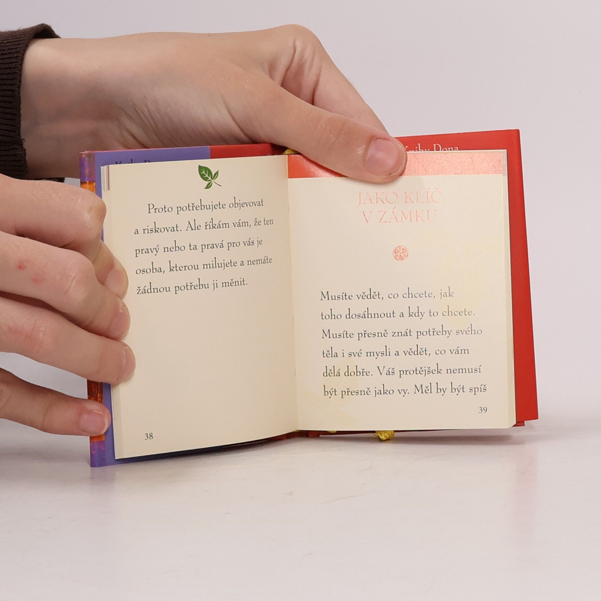 Don Miguel Ruiz Moudrost z knihy Láska, vztahy, přátelství
