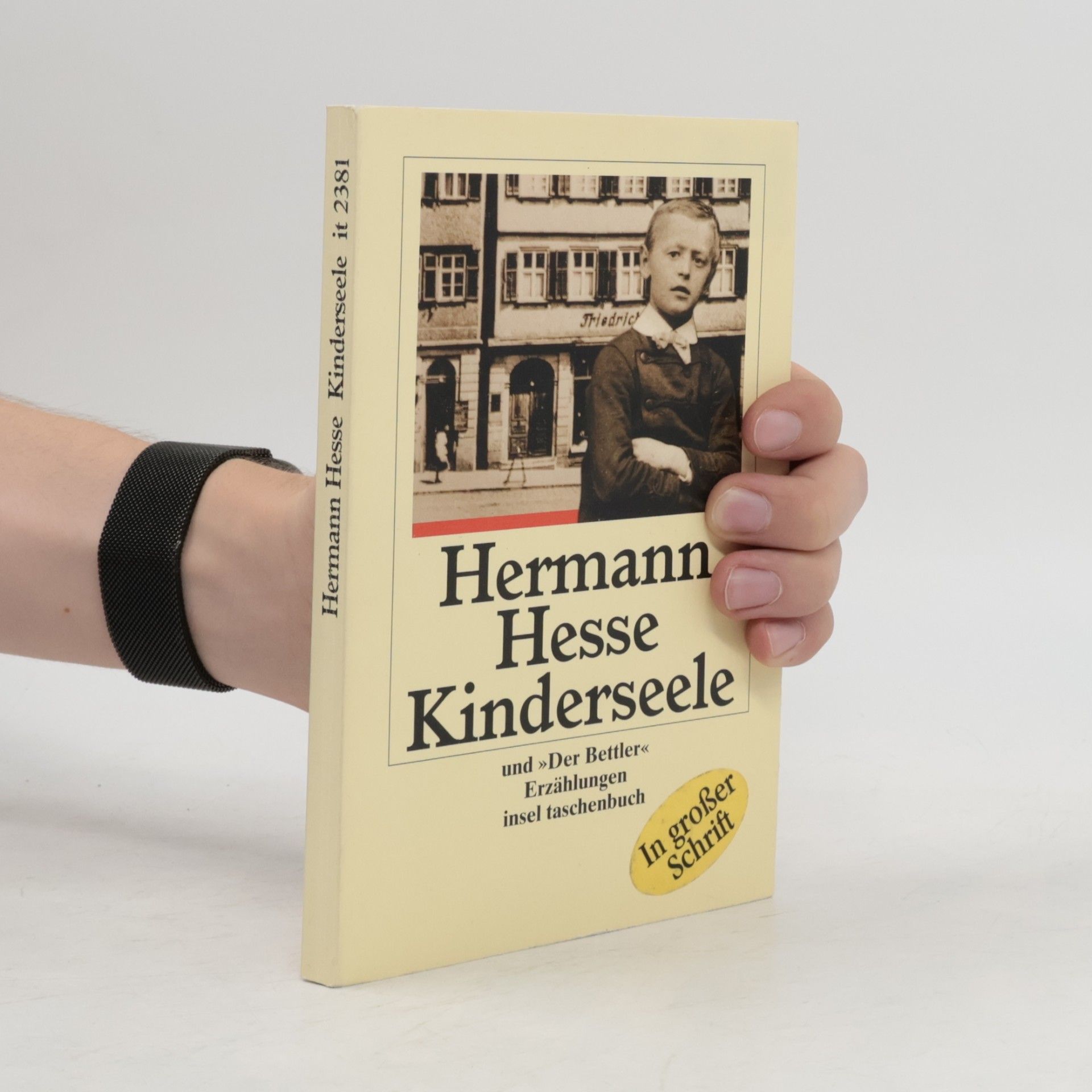 Friedrich Hermann Hesse Kinderseele