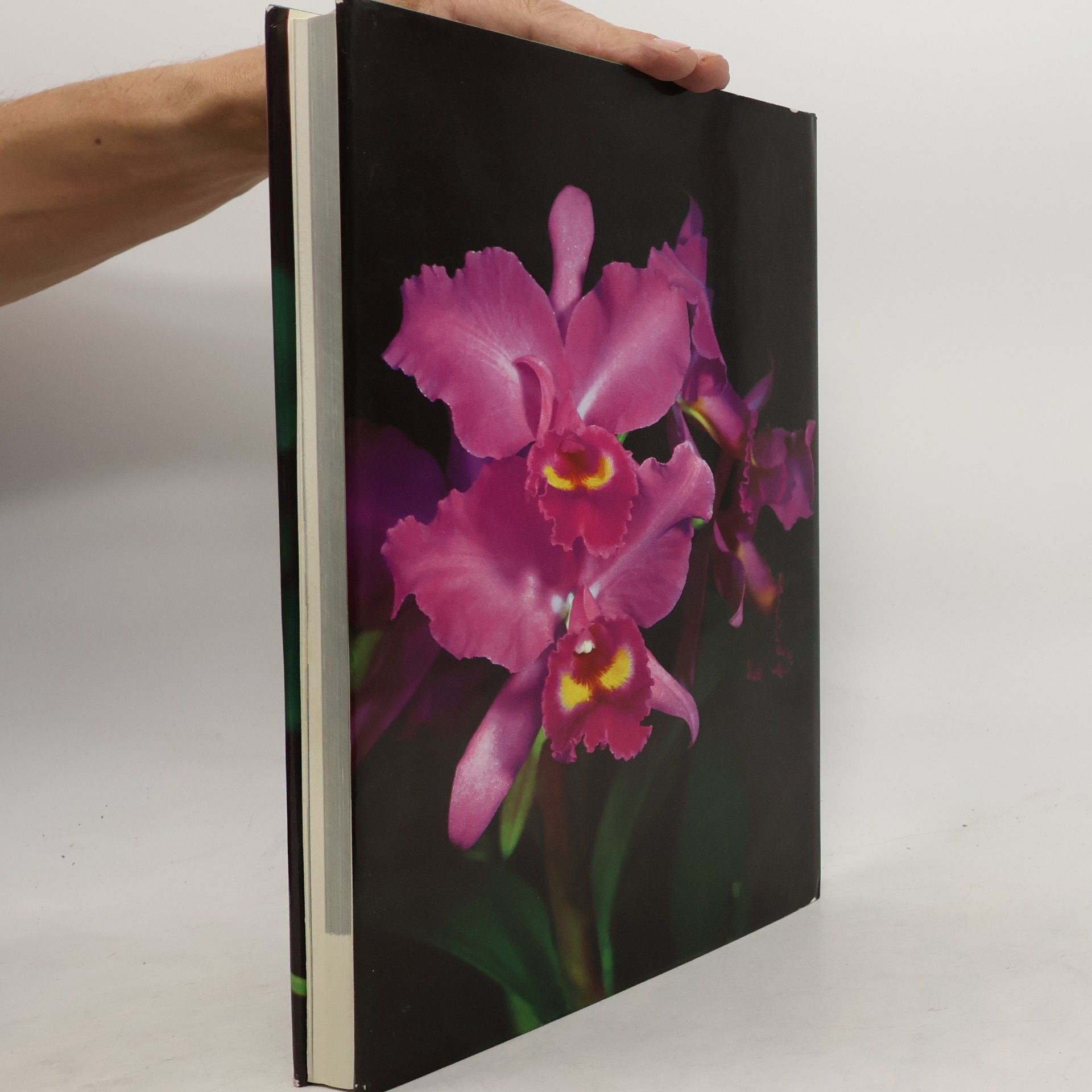Max Hirmer Wunderwelt der Orchideen