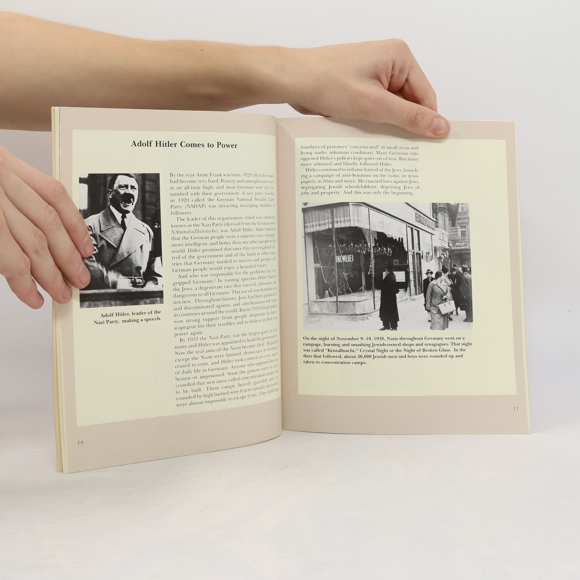 Plym Peters Anne Frank Beyond the Diary