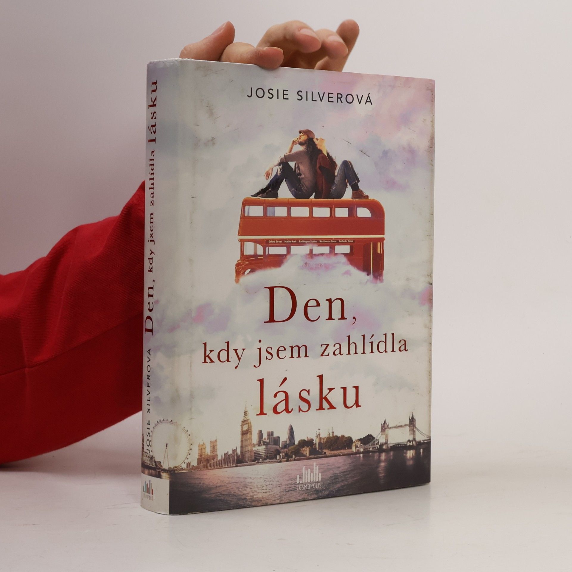 Josie Silver Den, kdy jsem zahlídla lásku
