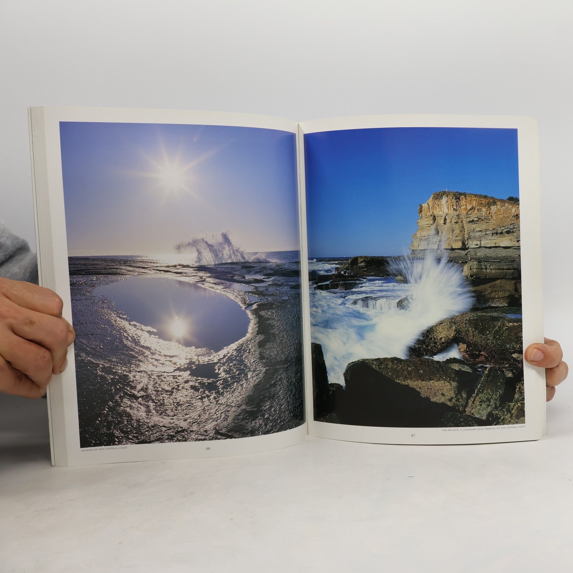 Steve Parish Sea Australia