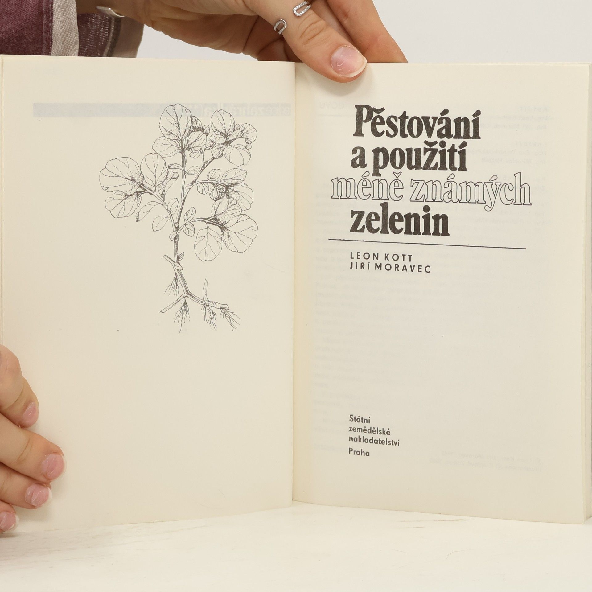 Jiří Moravec Pěstování a použití méně známých zelenin