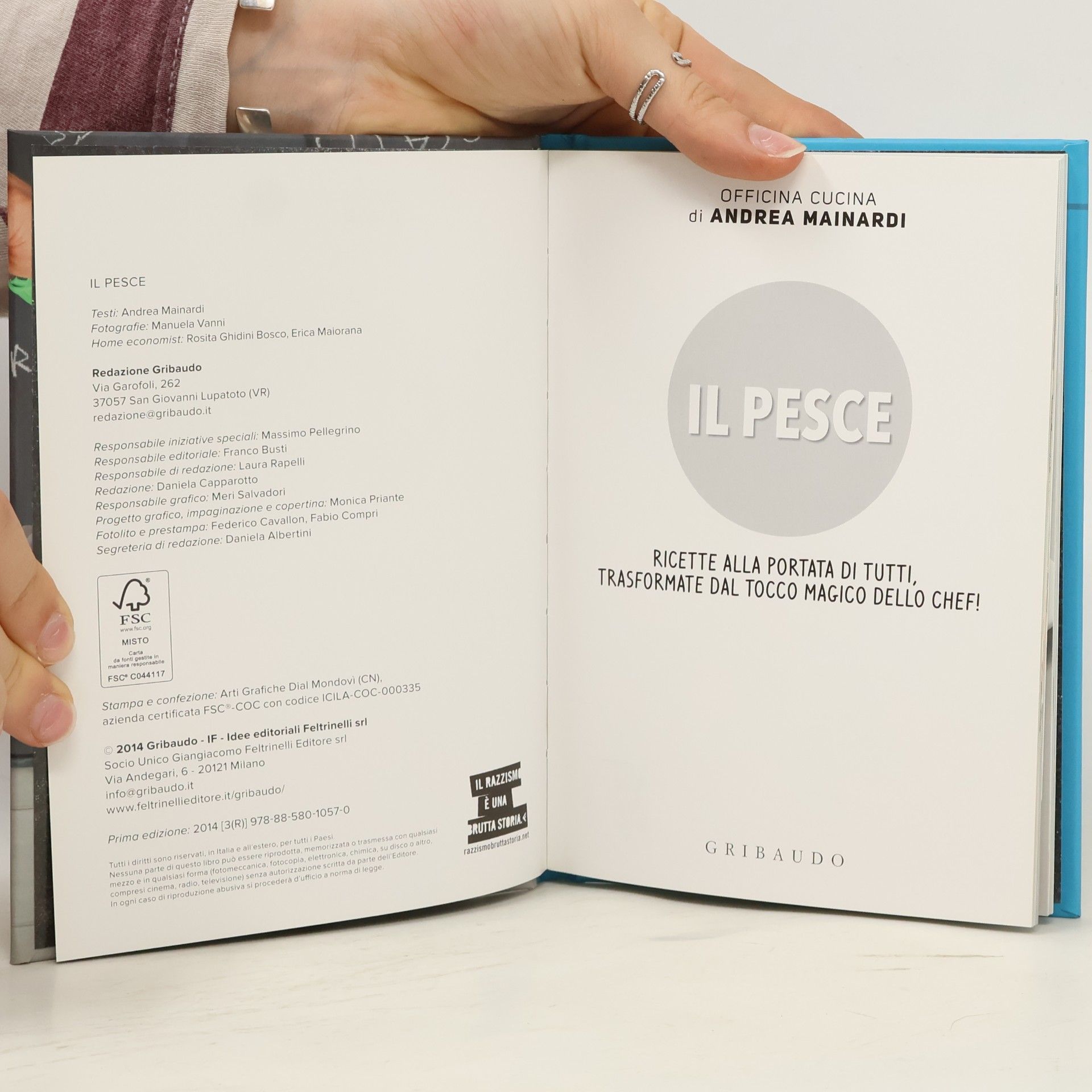 Andrea Mainardi Il pesce