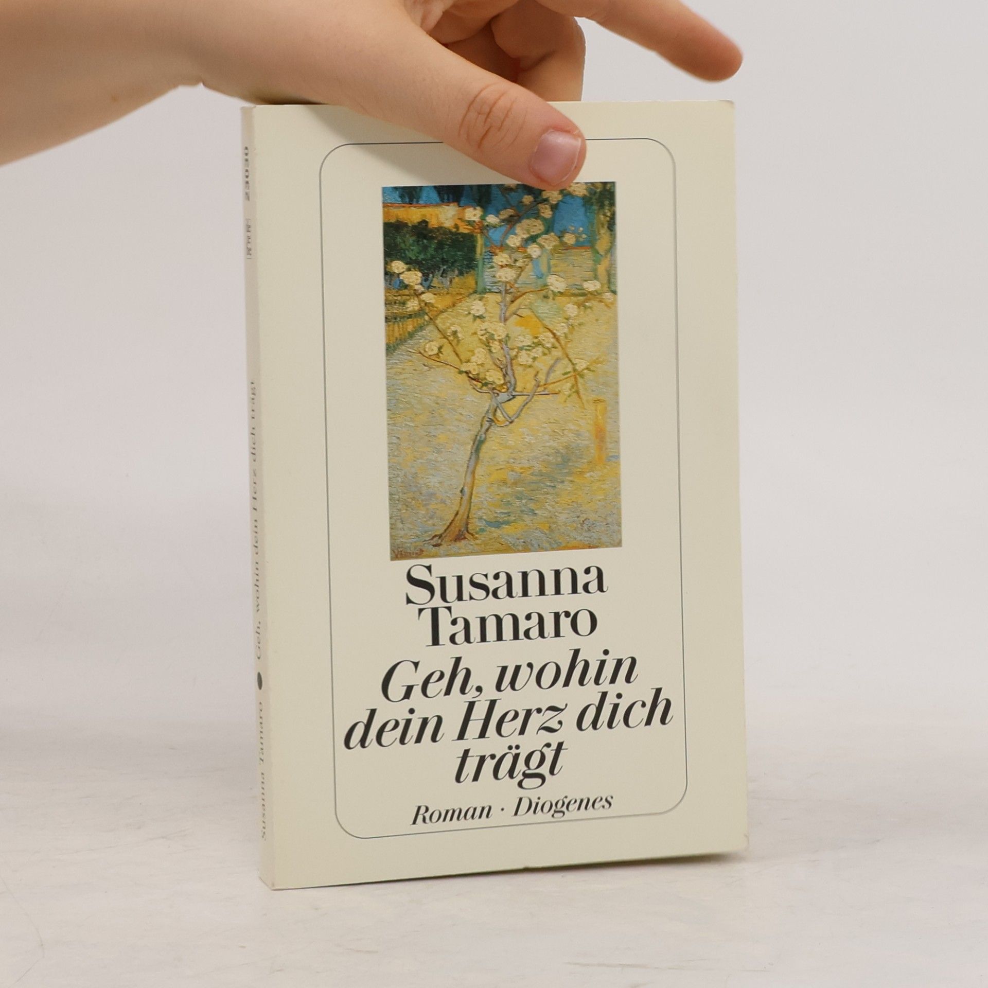 Susanna Tamaro Geh, wohin dein Herz dich trägt