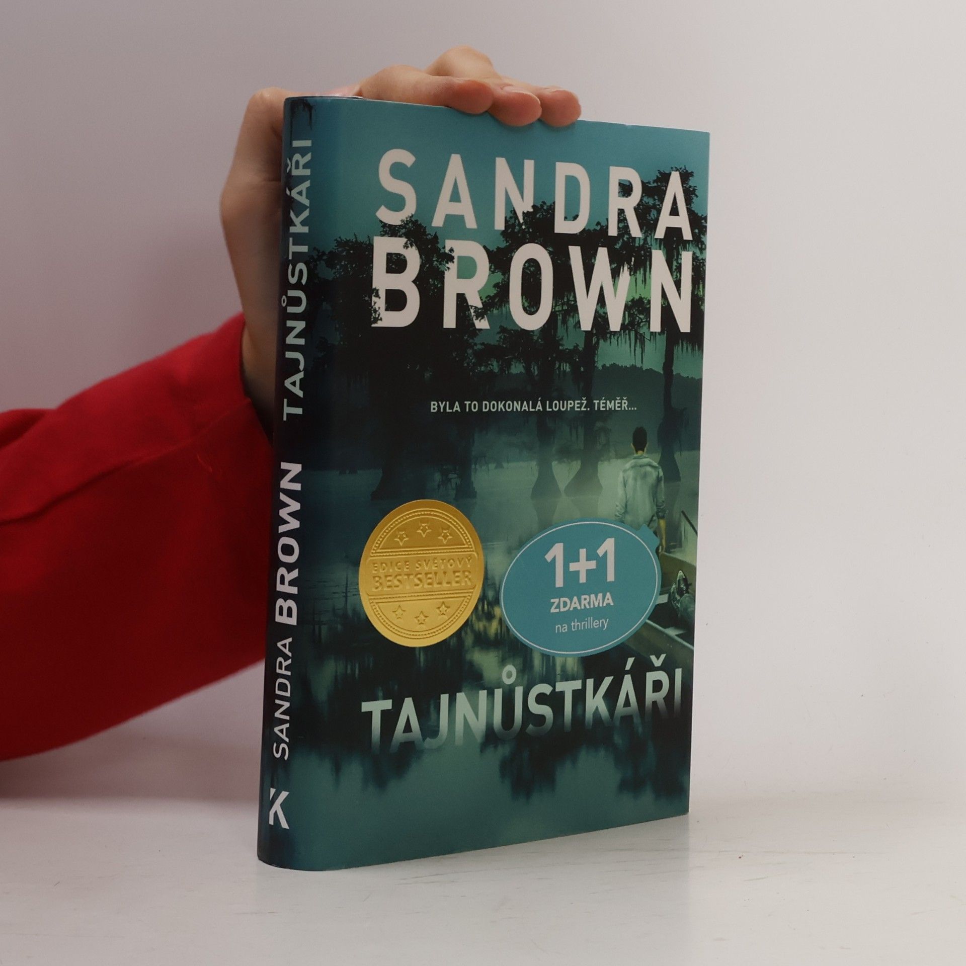 Sandra Brown Tajnůstkáři