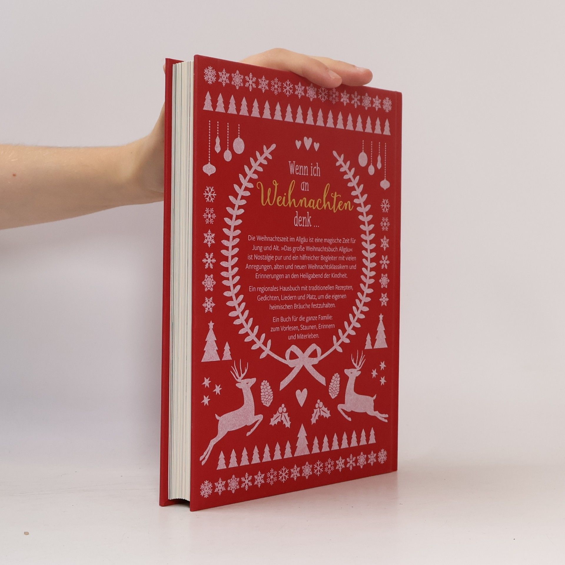 Tosca Maria Kühn Das große Weihnachtsbuch Allgäu