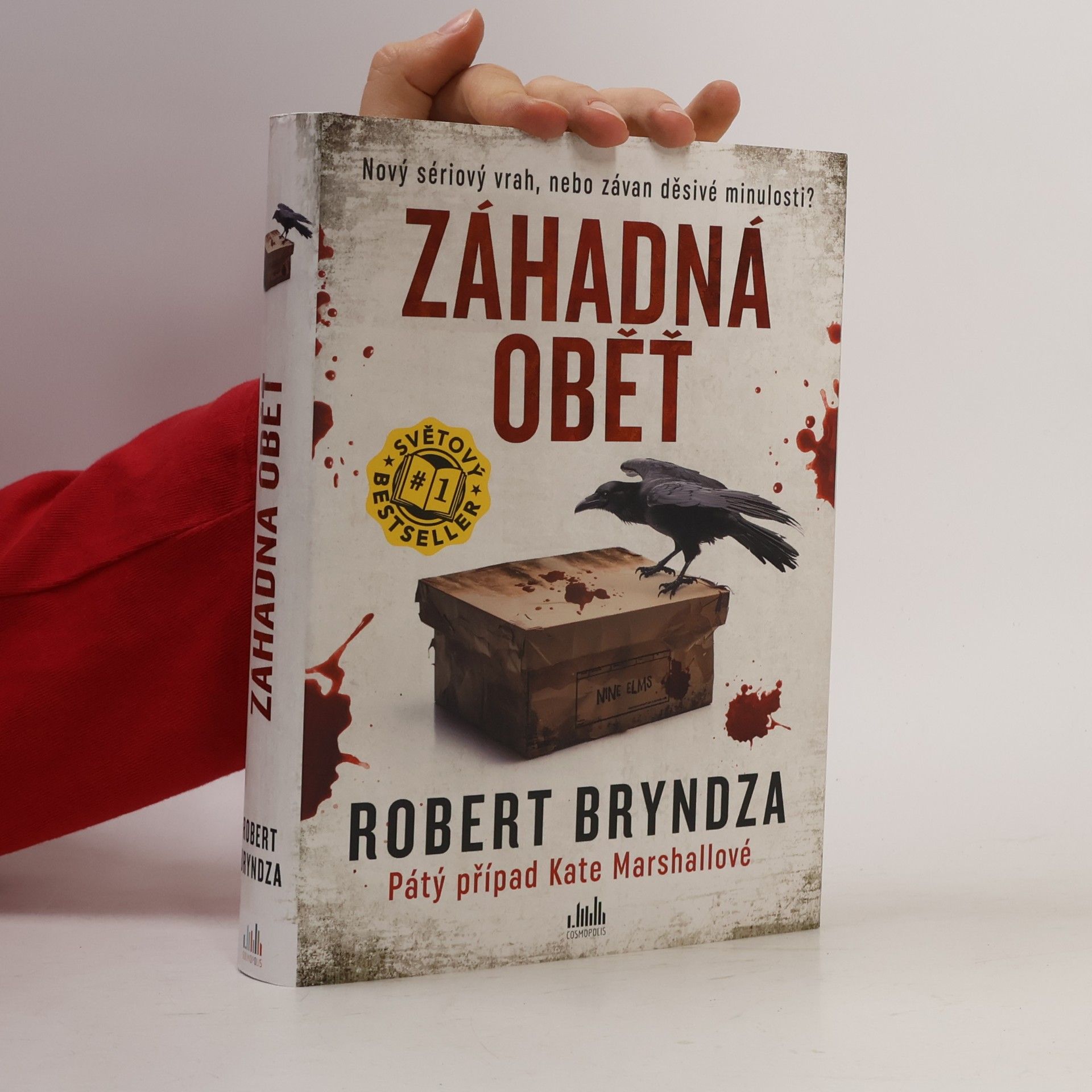 Robert Bryndza Záhadná oběť