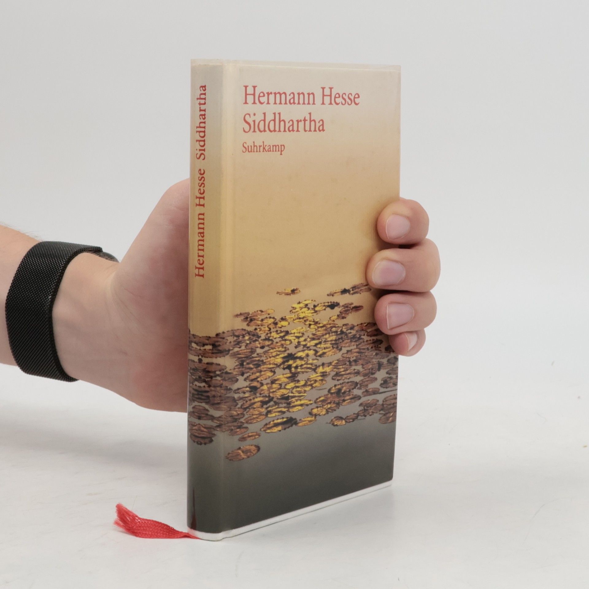 Hermann Hesse Siddhartha