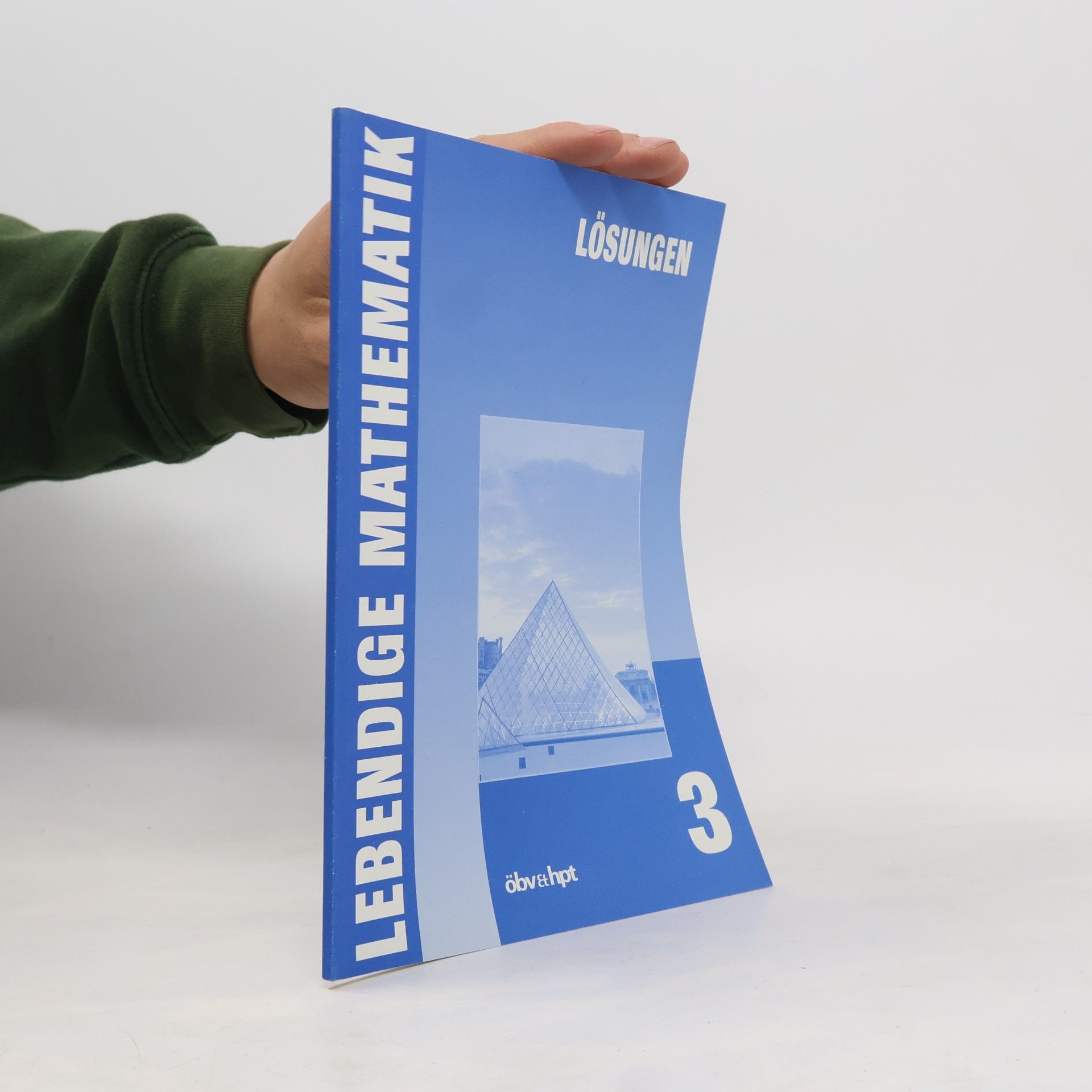 Lebendige Mathematik. Lösungen