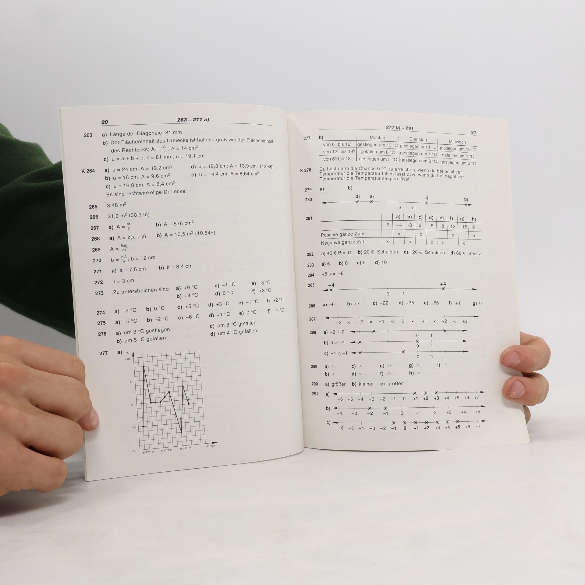Edith Floderer Lebendige Mathematik. Lösungen