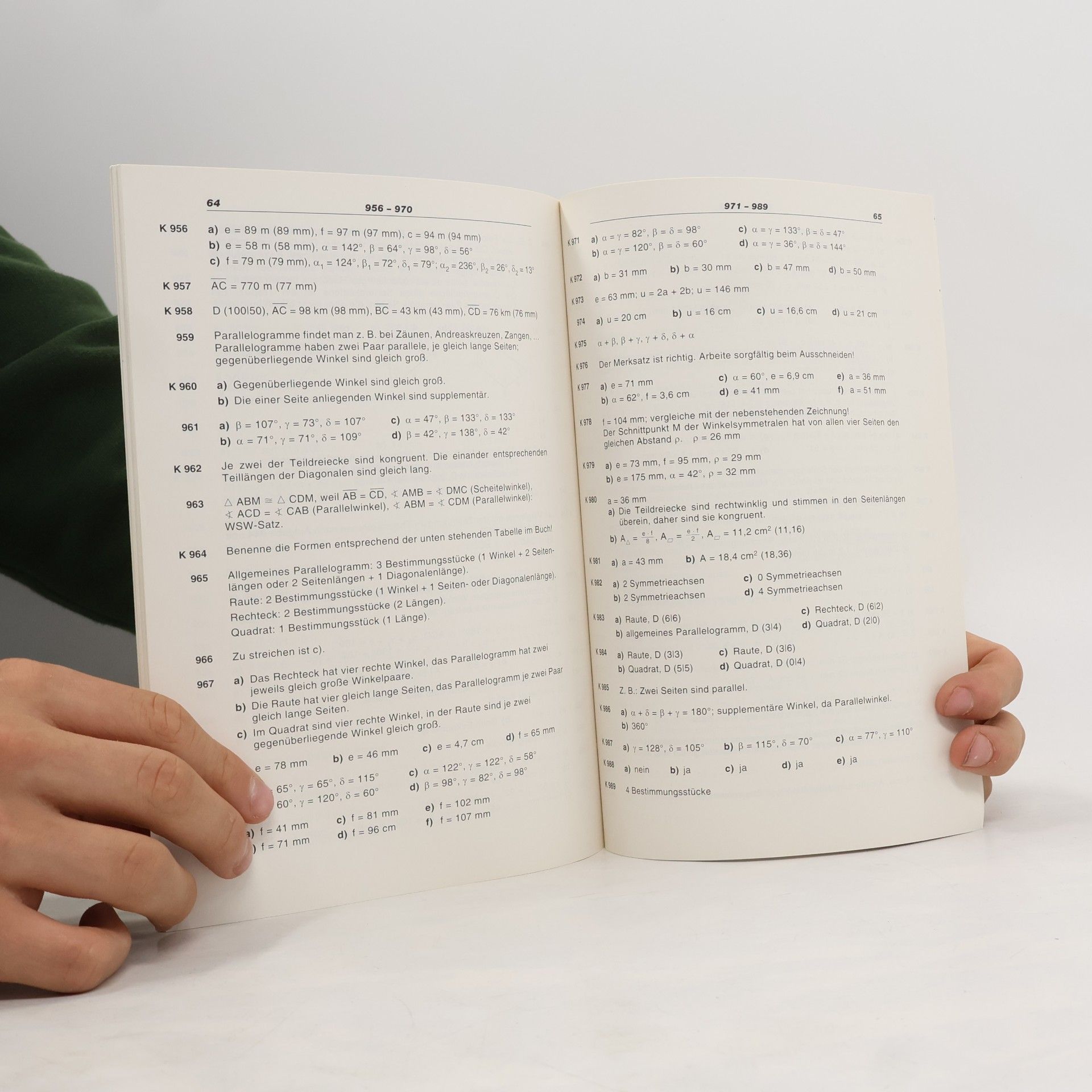 Edith Floderer Lebendige Mathematik. Lösungen