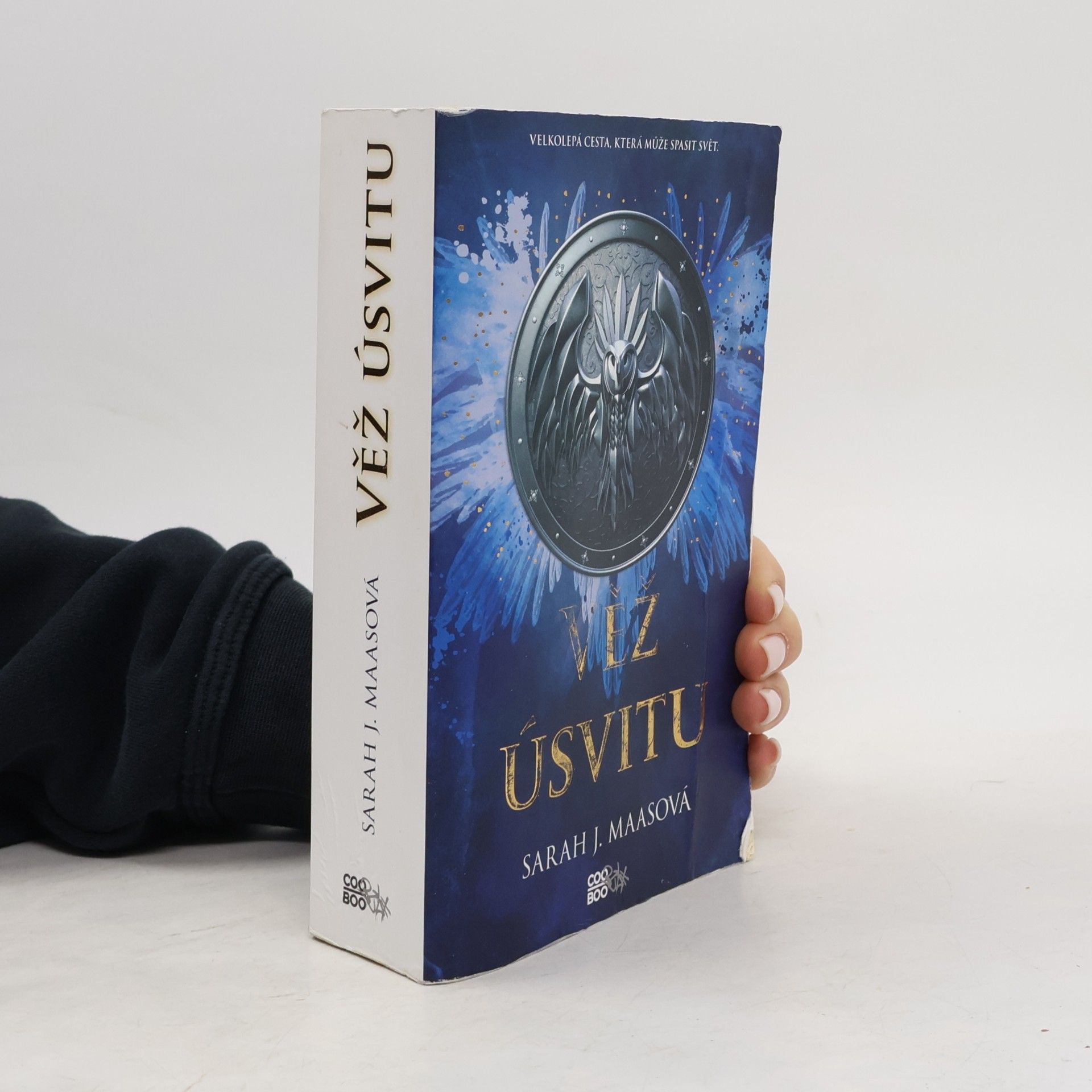 Sarah J. Maas Věž úsvitu
