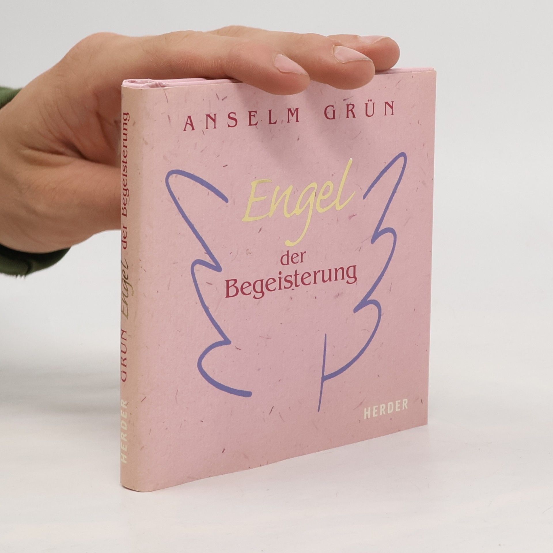 Anselm Grün Engel der Begeisterung