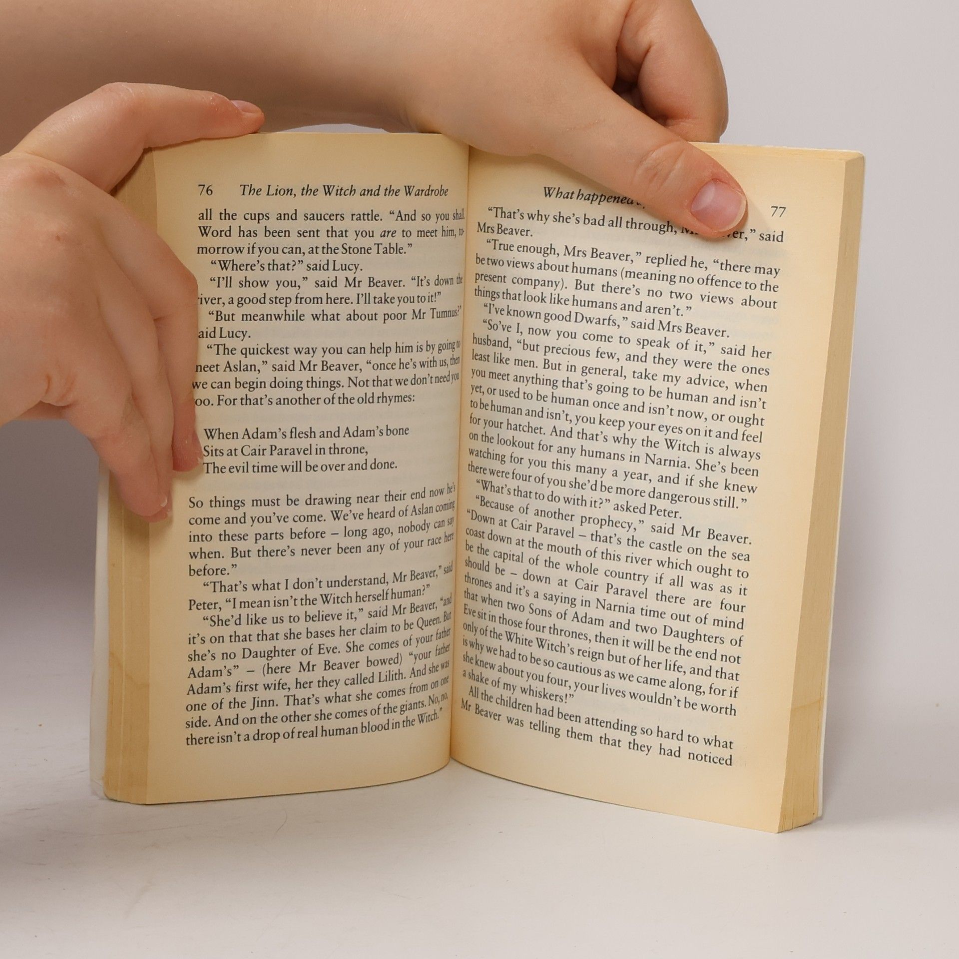 C. S. Lewis The Lion, the Witch and the Wardrobe 2