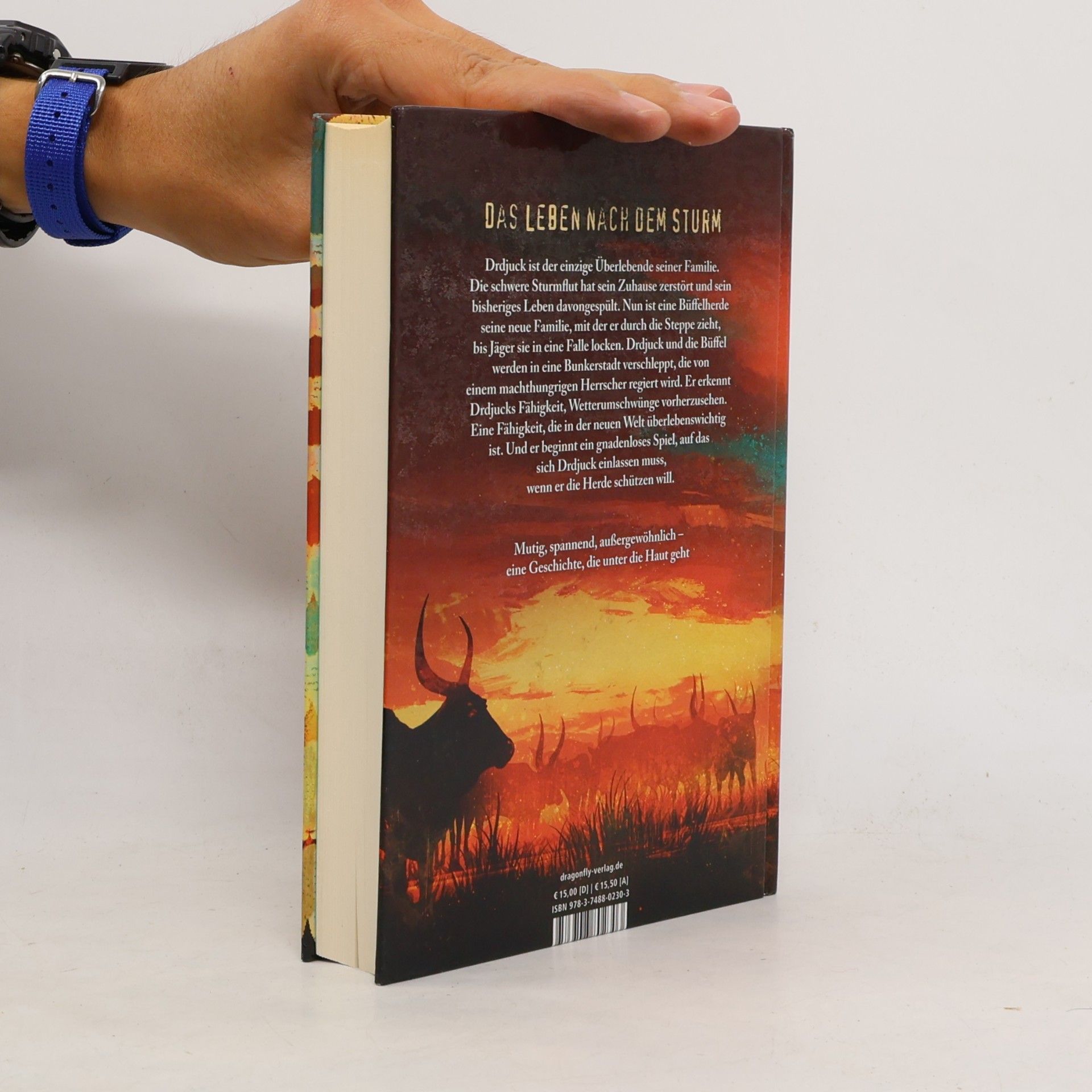 Boris Pfeiffer Feuer. Wasser. Erde. Sturm. - Zum Überleben brauchst du alle Sinne