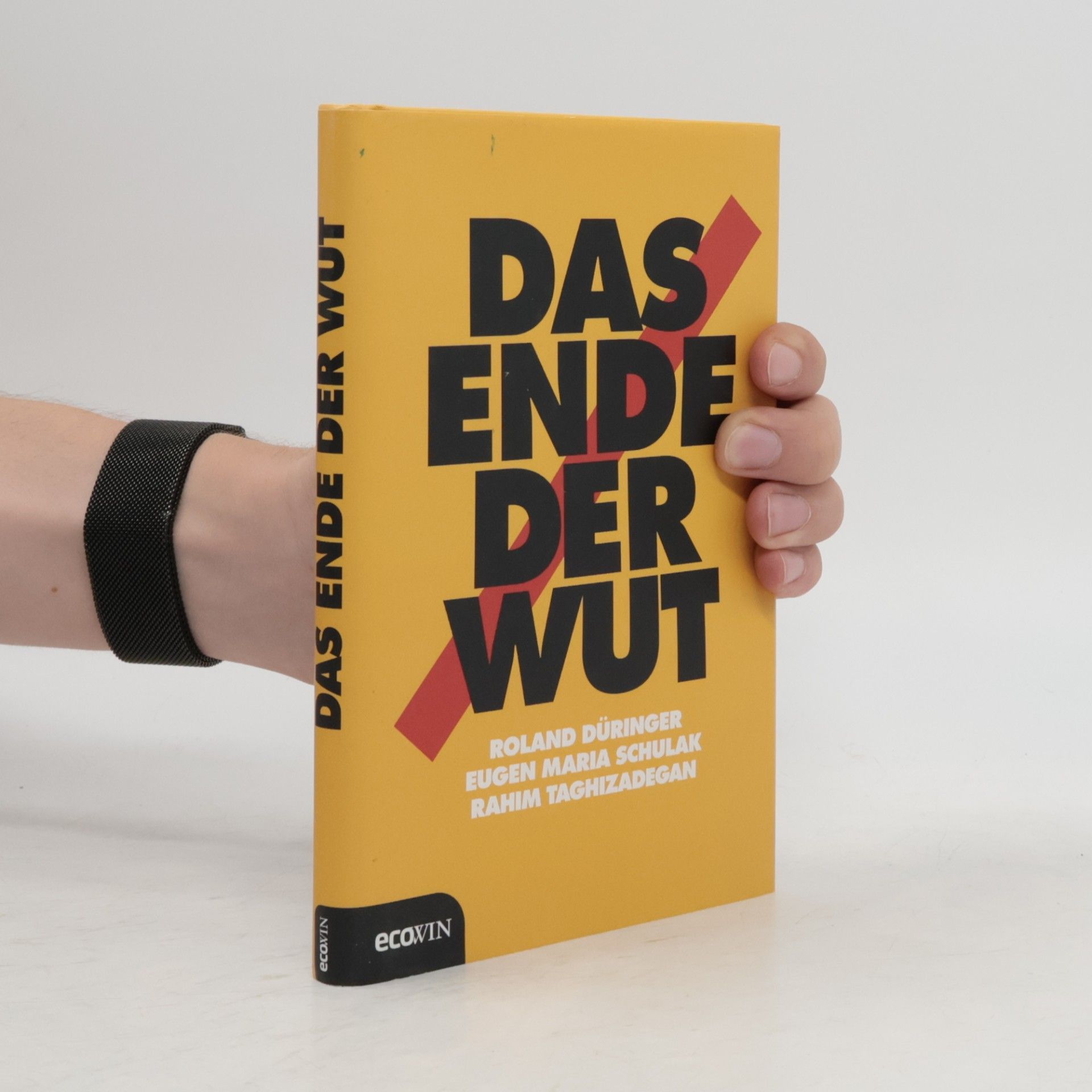 Das Ende der Wut