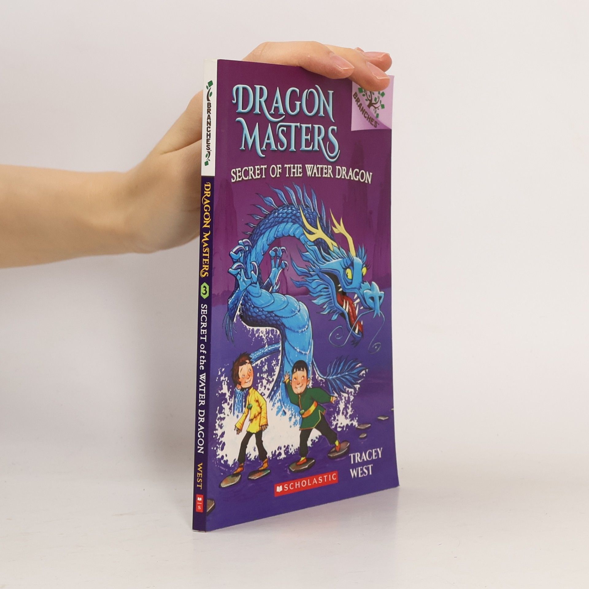 Tracey West Secret of the Water Dragon: Branches Book (Dragon Masters #3), Volume 3