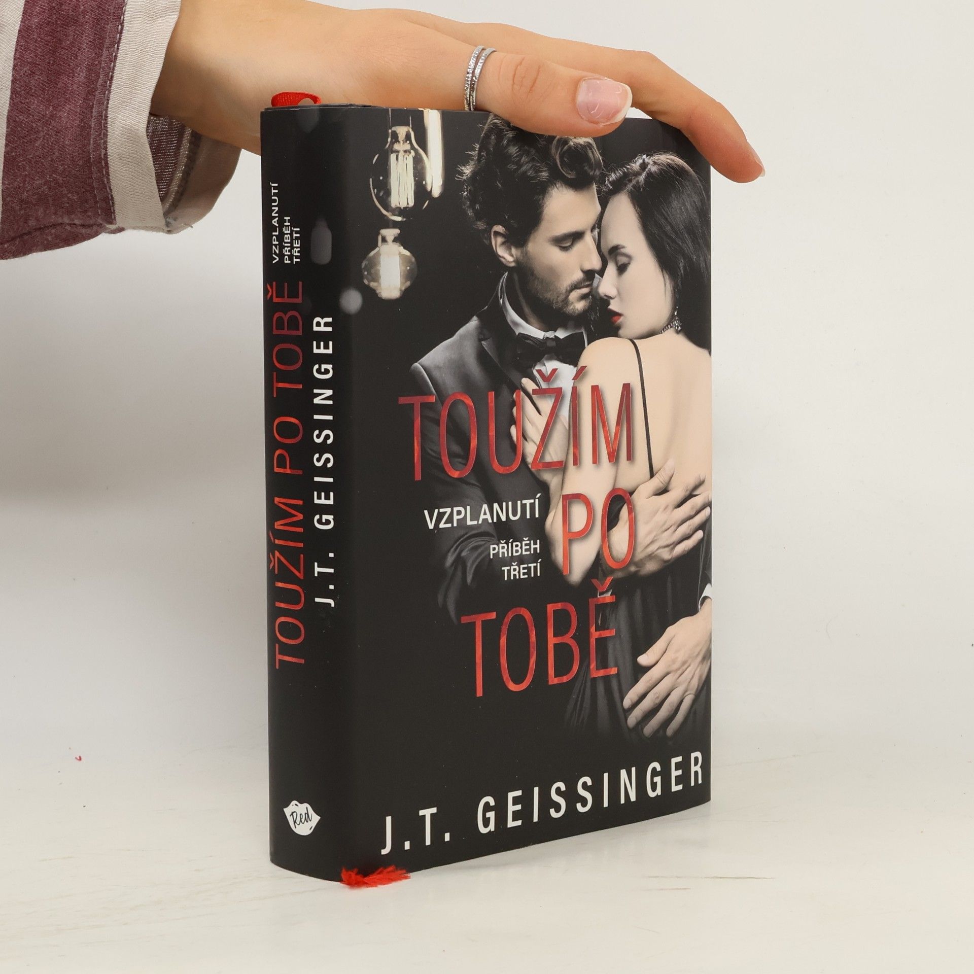 J. T. Geissinger Toužím po tobě