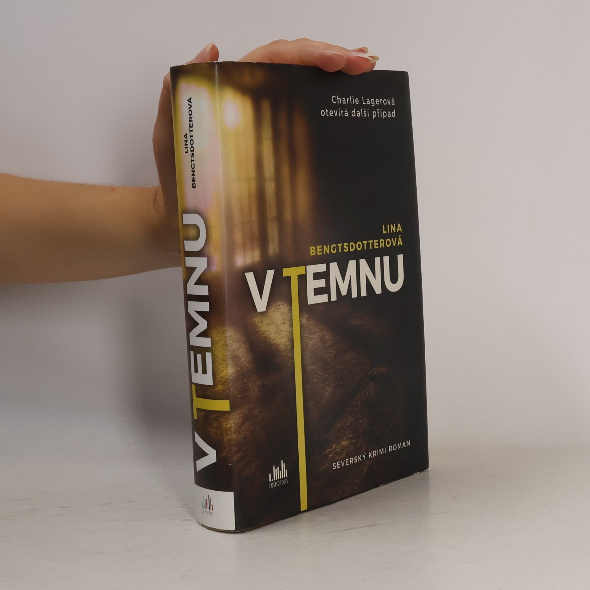 Lina Bengtsdotter V temnu