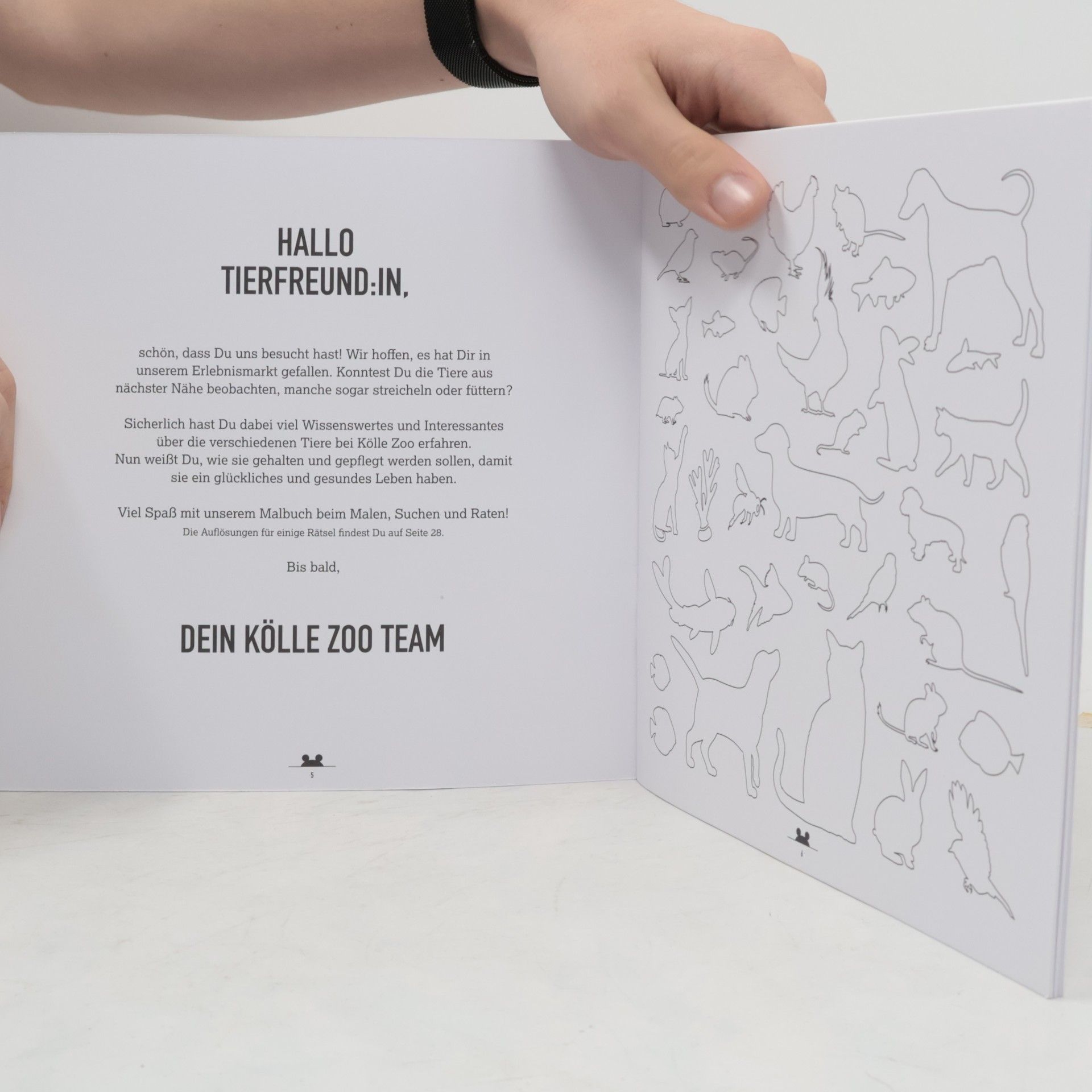 kolektiv Tierisches Erlabnis Malbuch