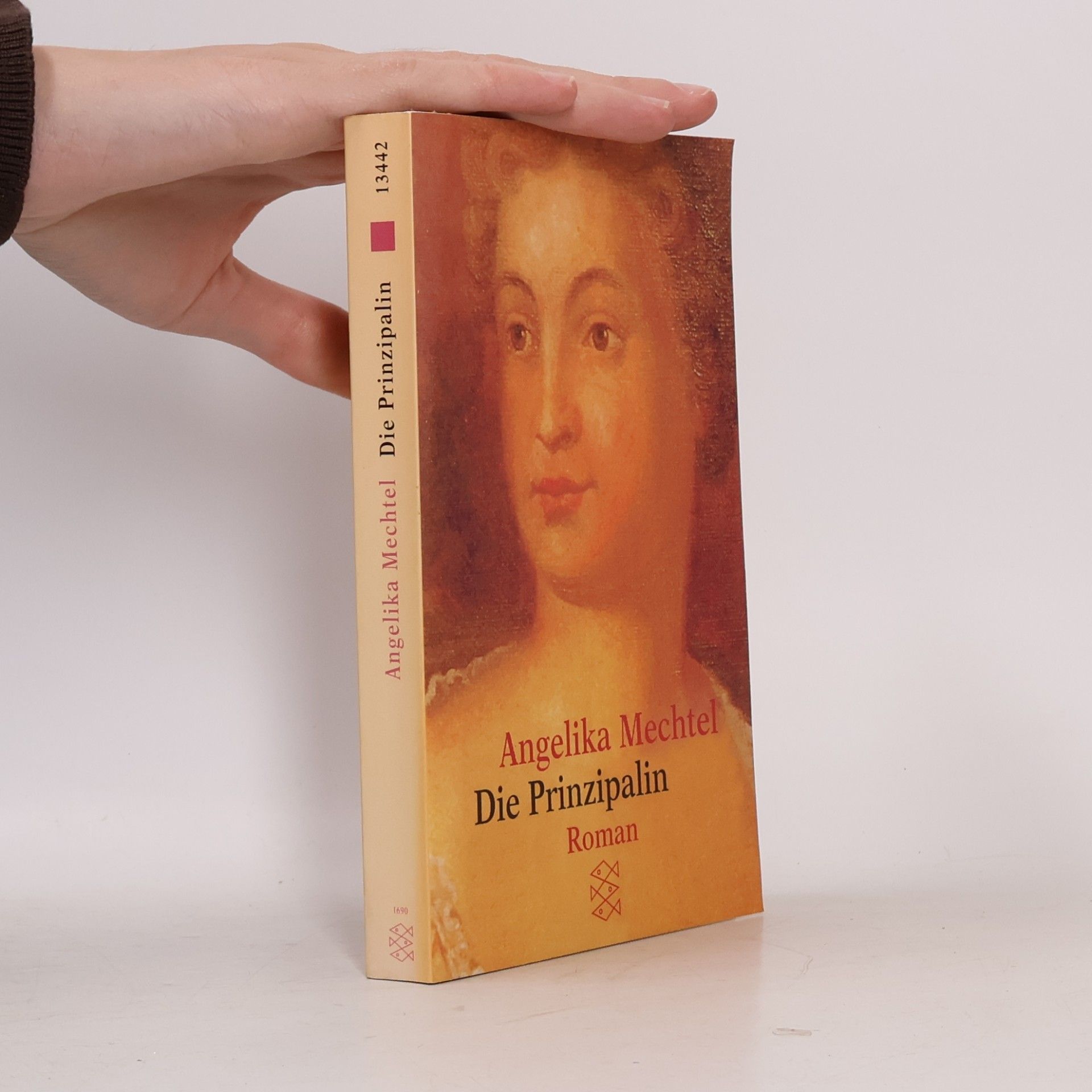 Angelika Mechtel Die Prinzipalin