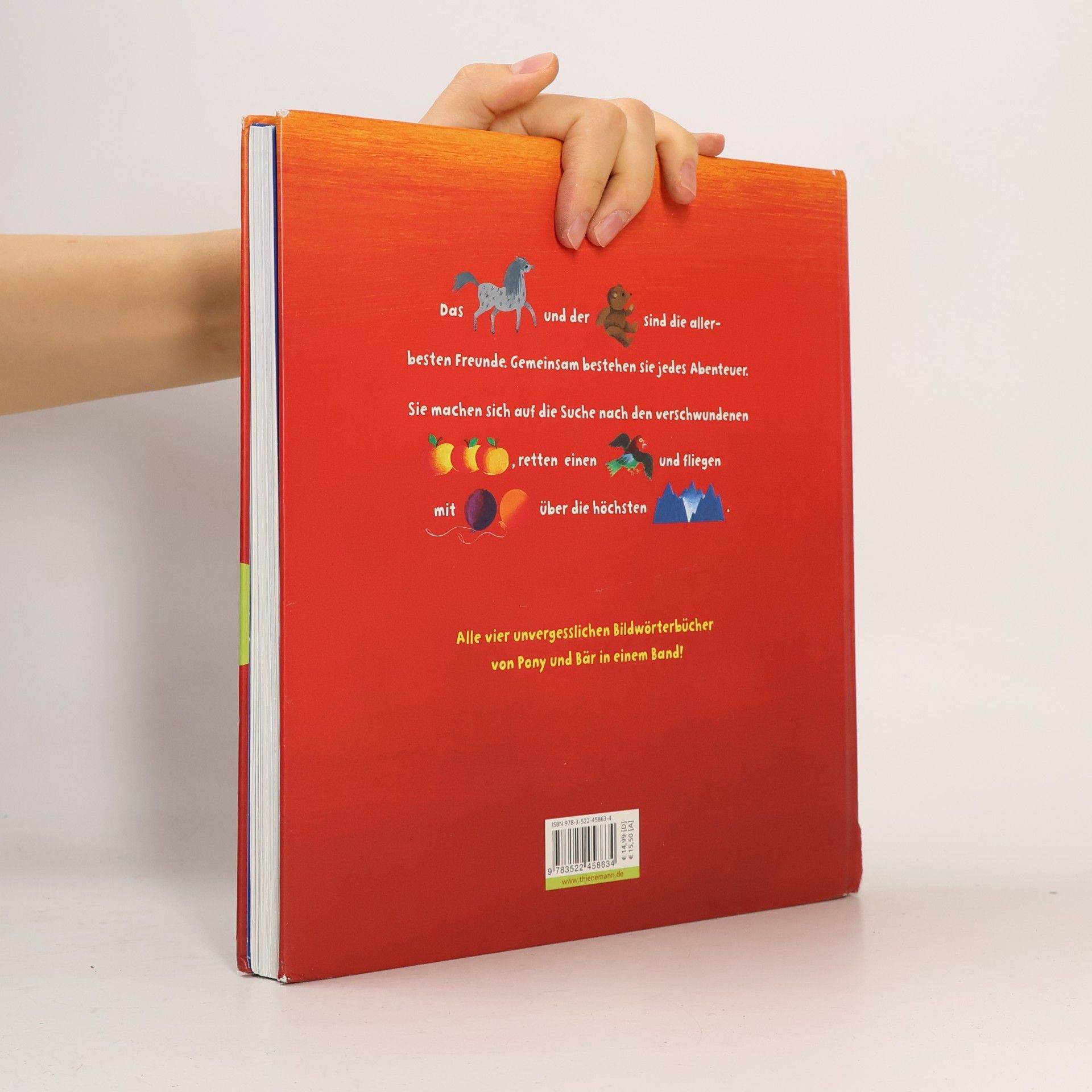 Sigrid Heuck Das große Buch von Pony, Bär und Apfelbaum
