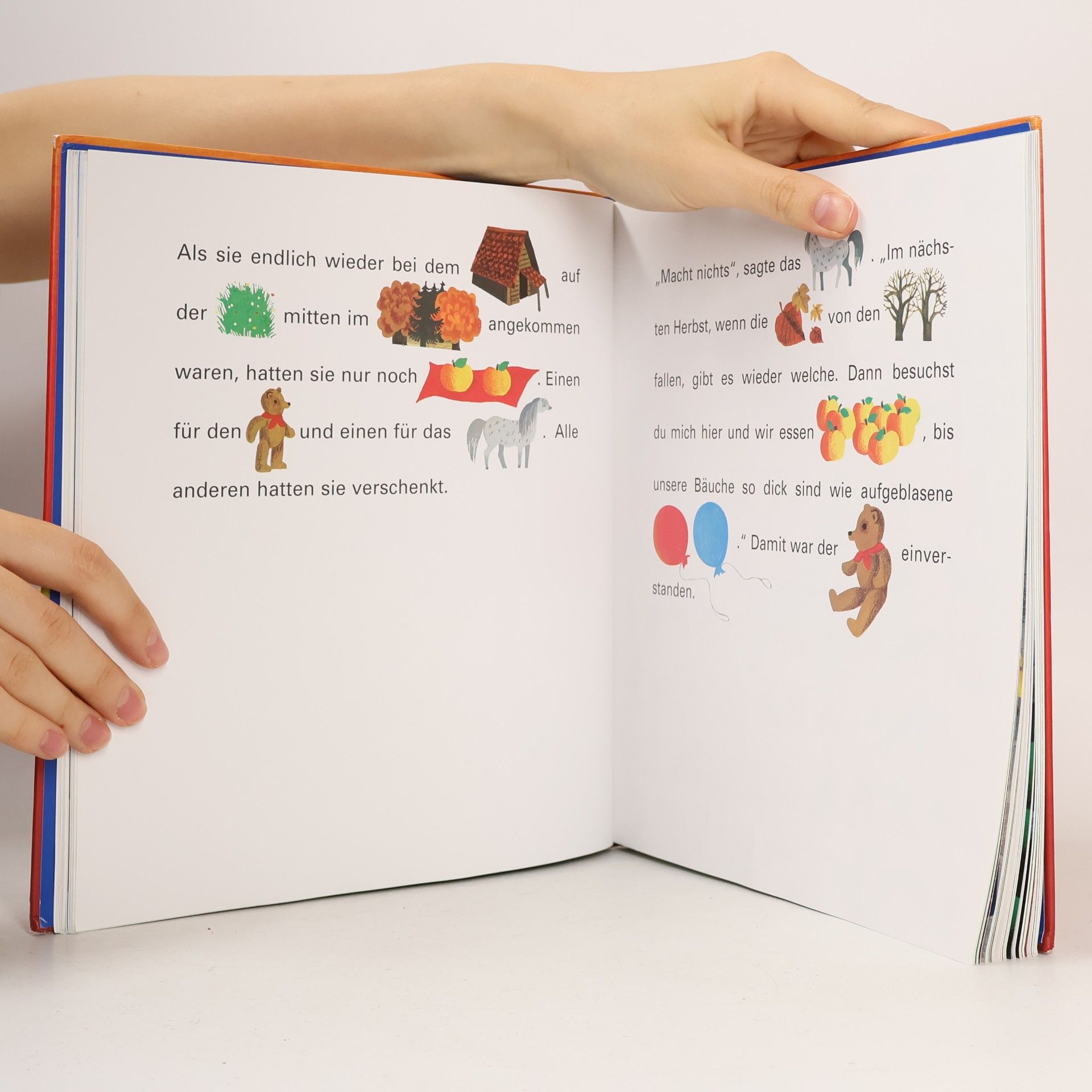 Sigrid Heuck Das große Buch von Pony, Bär und Apfelbaum