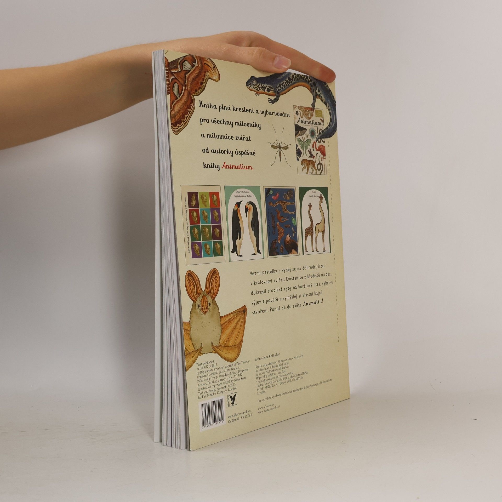 Katie Scott Animalium. Kniha her