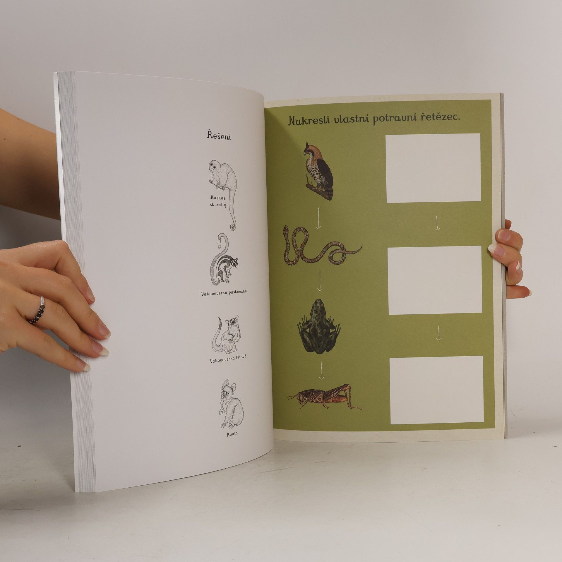 Katie Scott Animalium. Kniha her