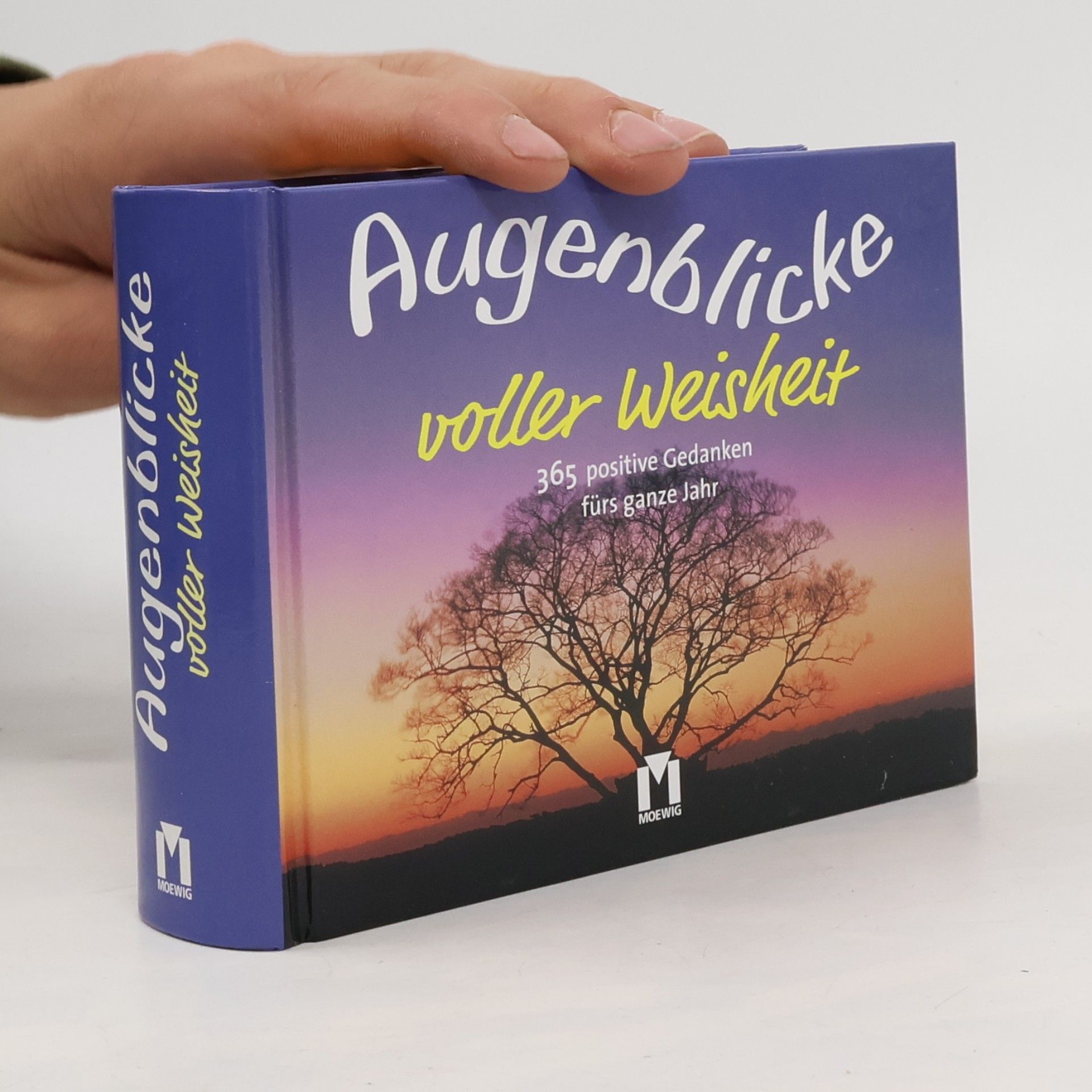 Collectif d'auteurs Augenblicke voller Weisheit