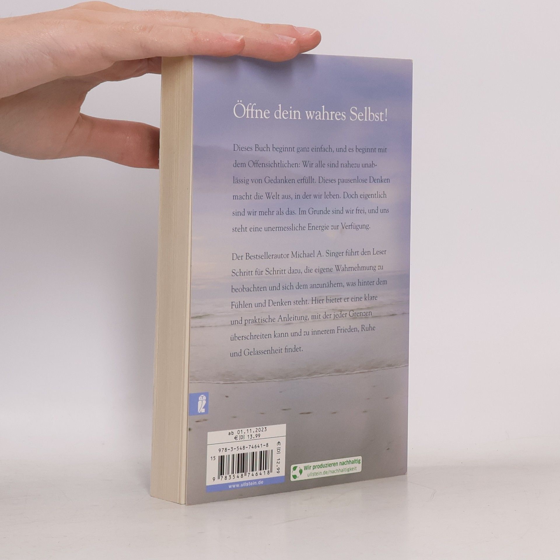 Michael Alan Singer Die Seele will frei sein