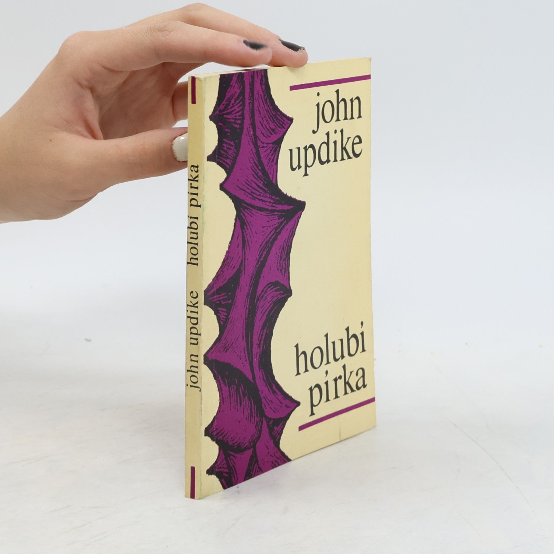 John Updike Holubí pírka