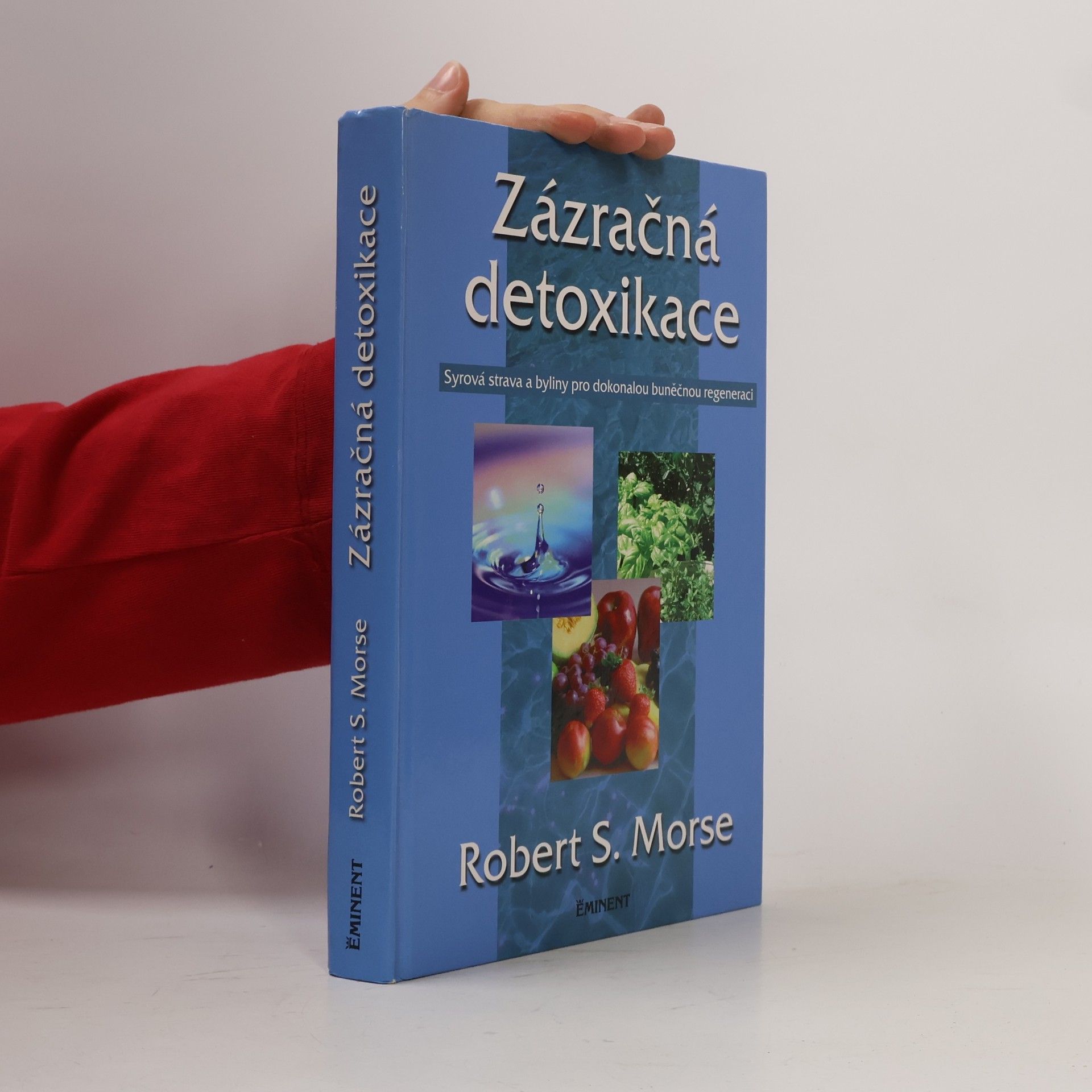 Robert Morse Zázračná detoxikace