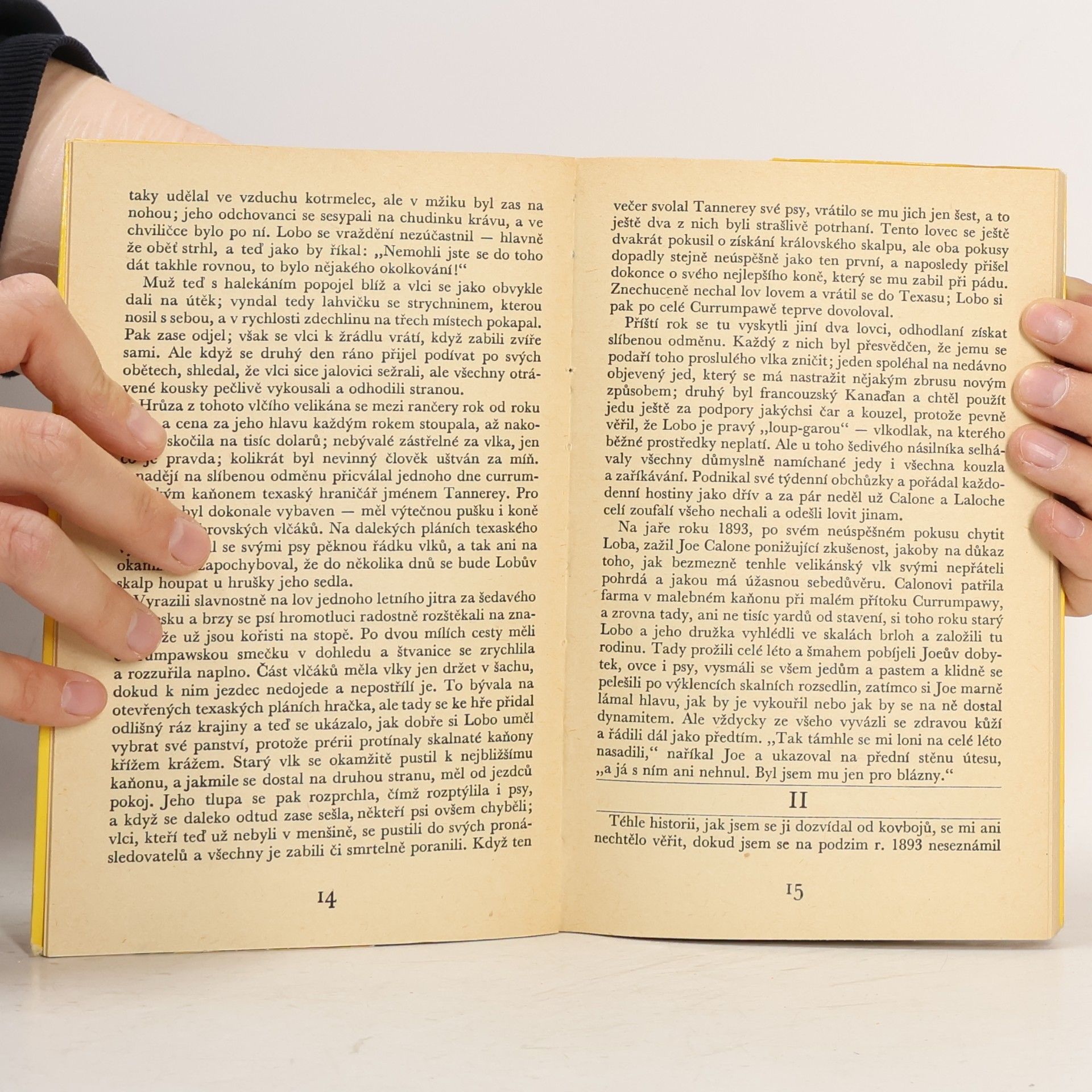 Ernest Thompson Seton Divoké děti lesů
