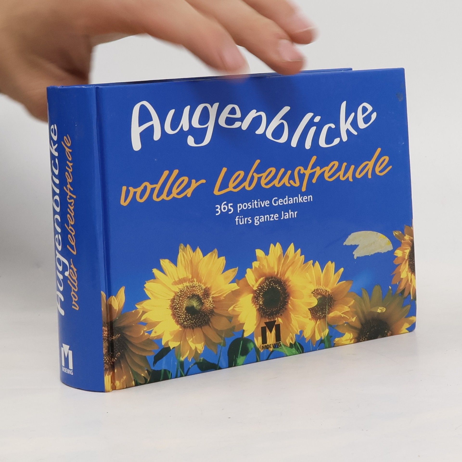 Kolektív autorov Augenblicke voller Lebensfreude