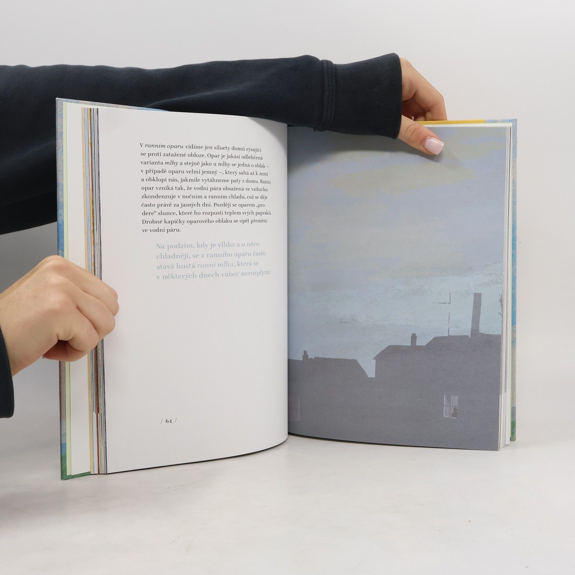 Britta Teckentrup Všechny barvy počasí