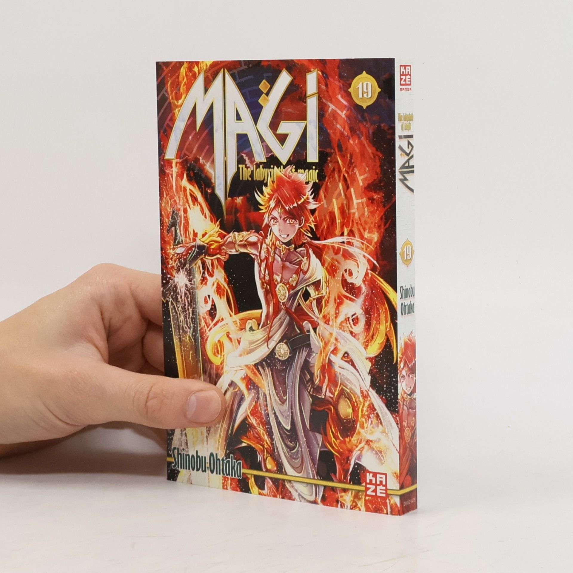 Magi - The Labyrinth of Magic. Bd.19