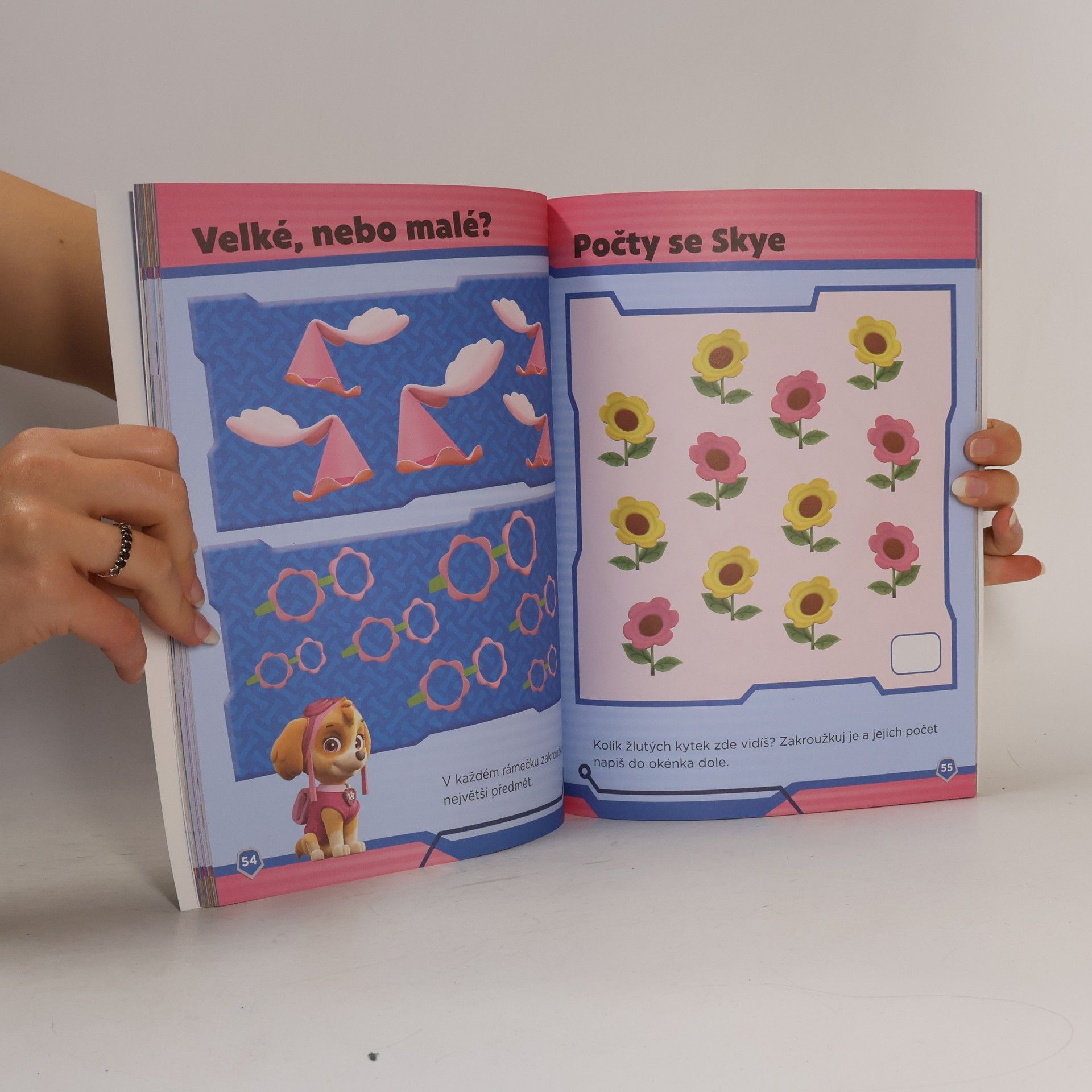 Autorenkollektiv Paw Patrol Meine Lernrätsel