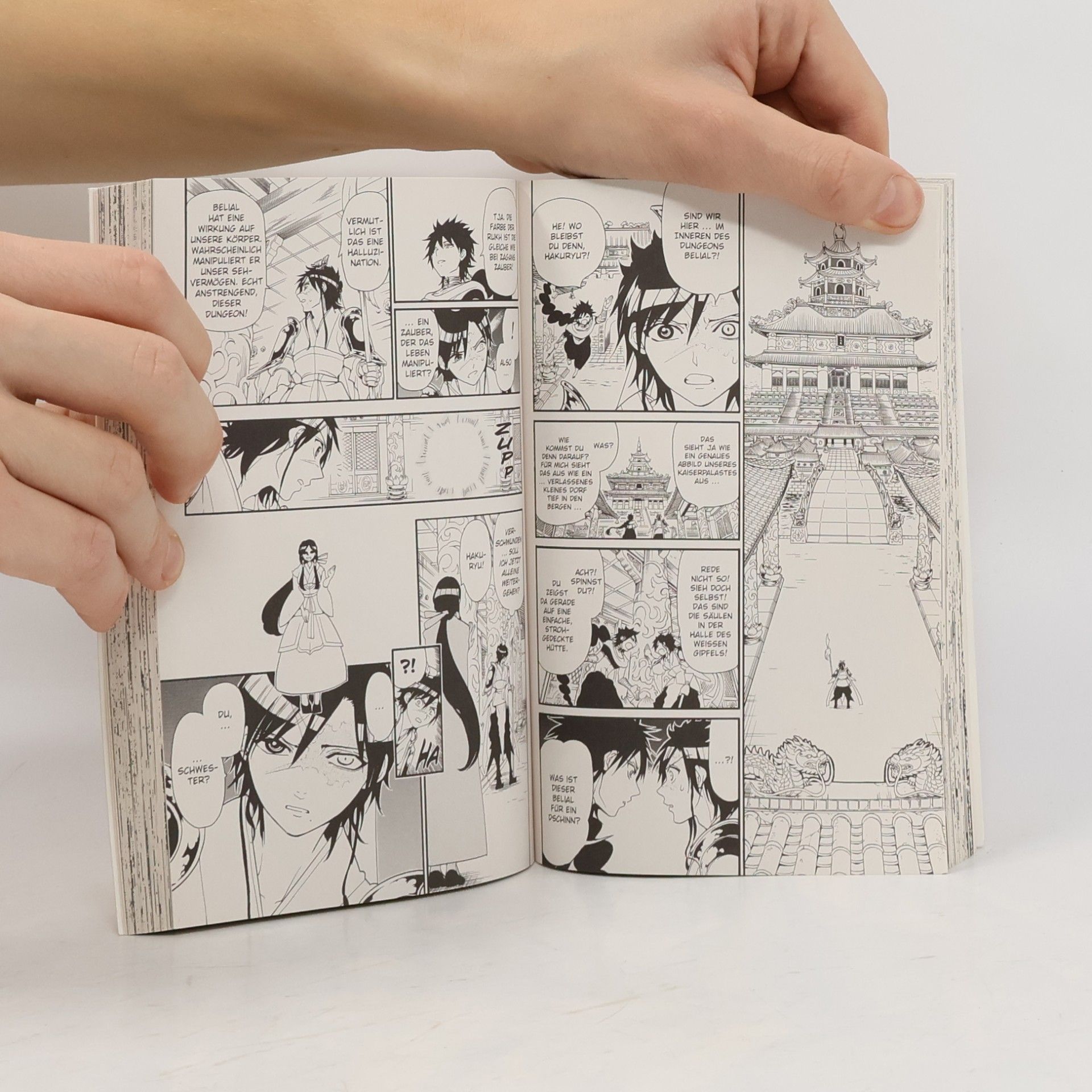 Shinobu Ohtaka Magi, The Labyrinth of Magic. Bd.25