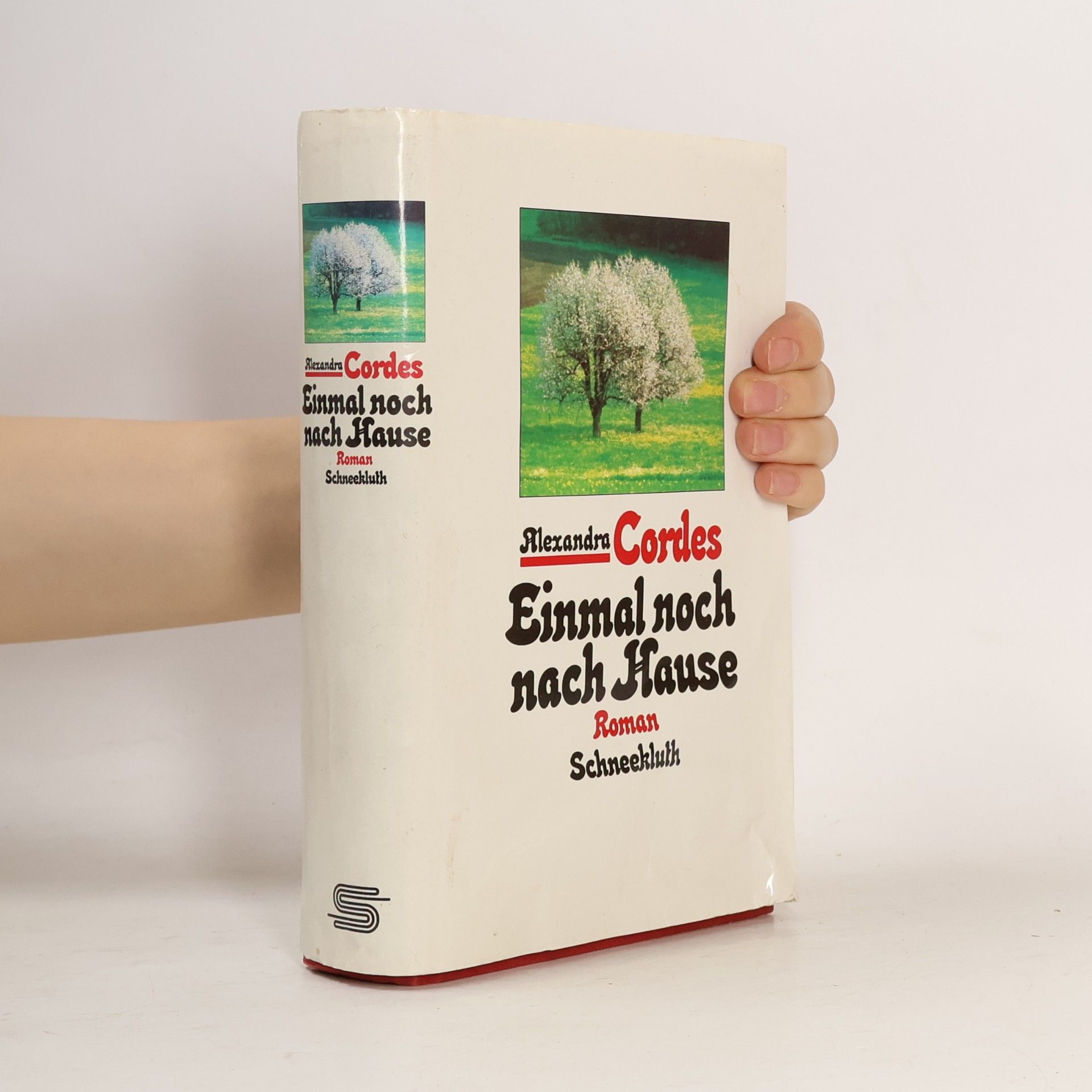 Einmal noch nach Hause. Roman