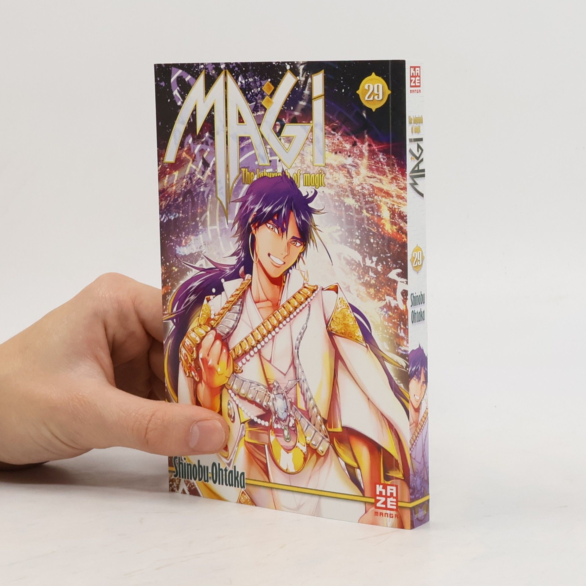Magi, The Labyrinth of Magic. Bd.29