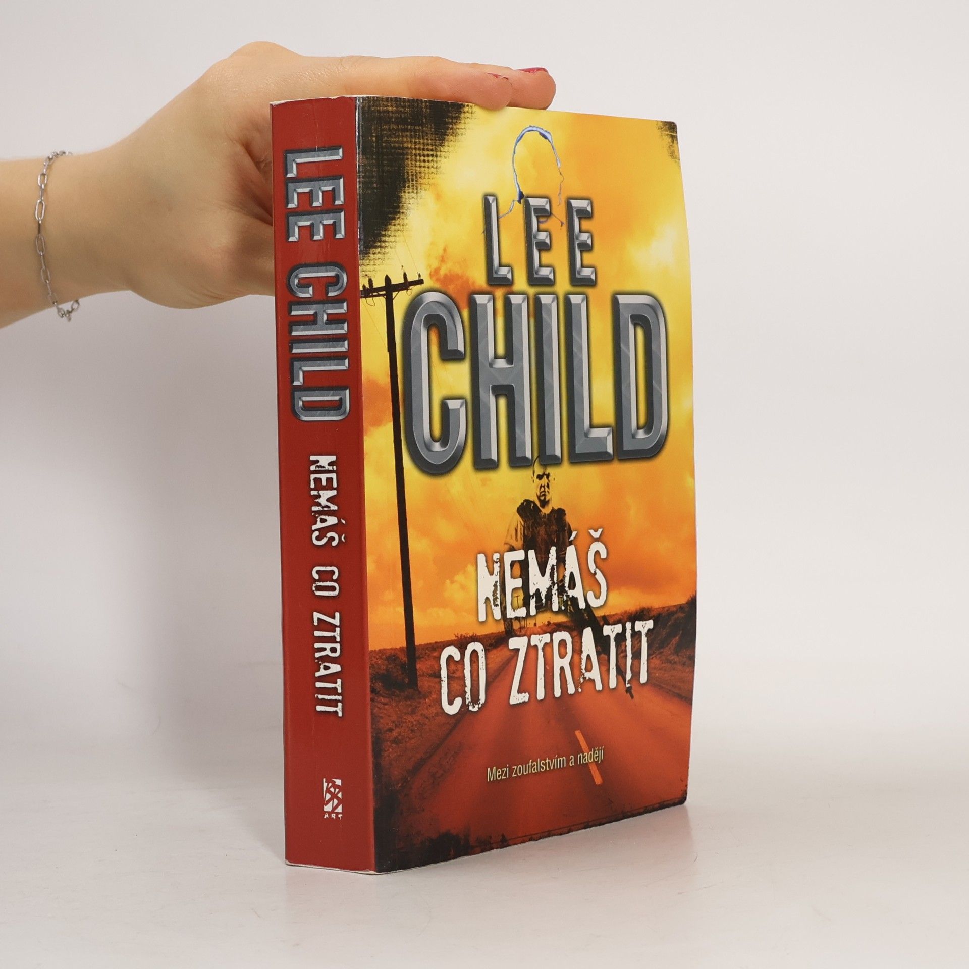 Lee Child Nemáš co ztratit