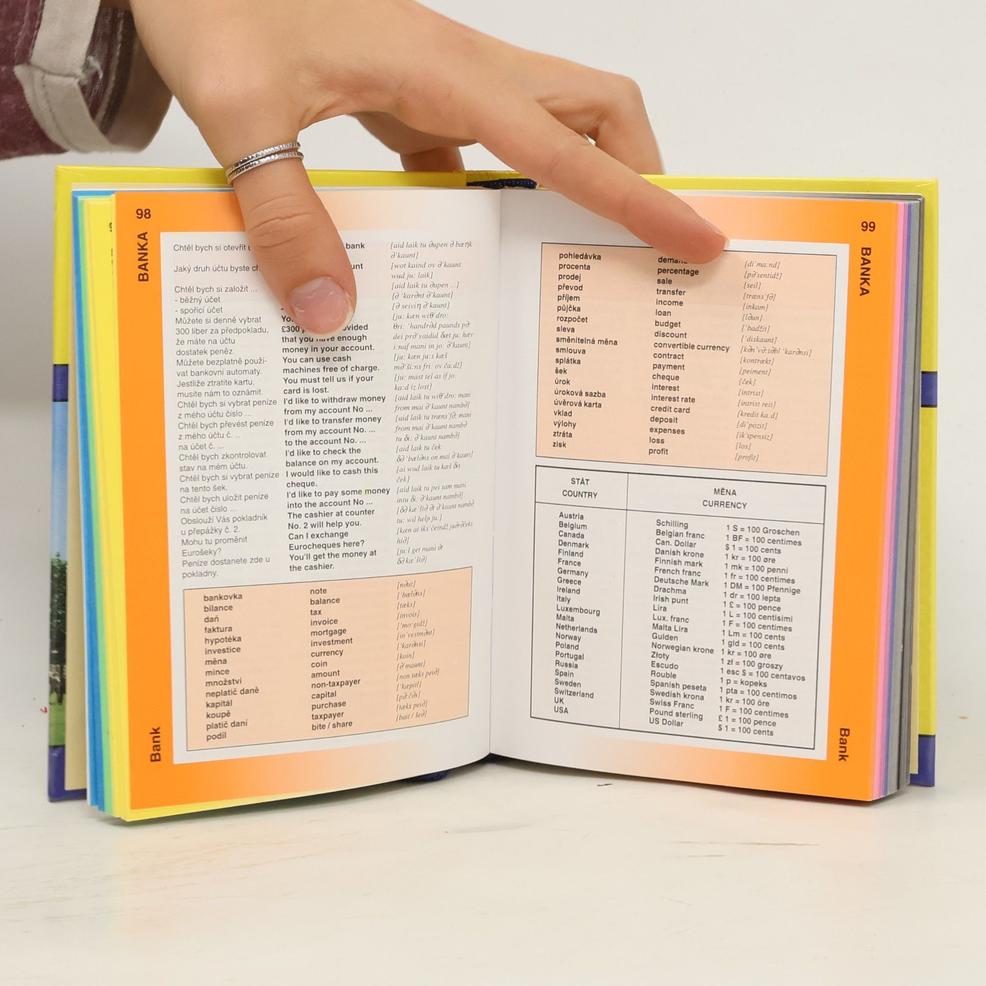 Martina Sobotíková Angličtina. Czech - English Phrase Book & Dictionary