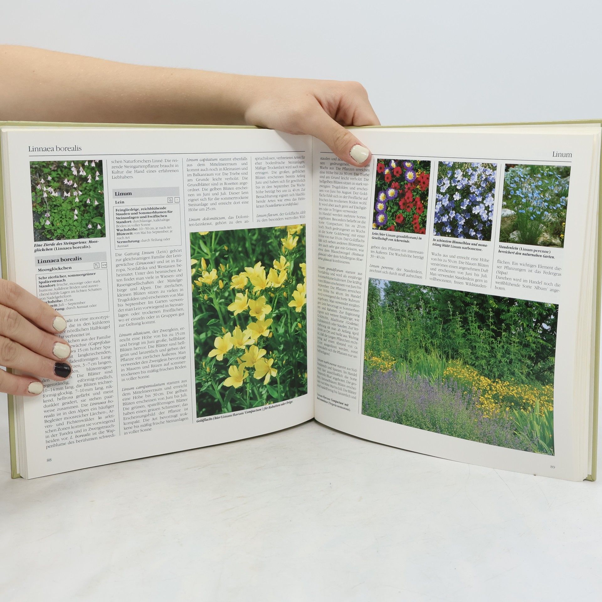 Autorenkollektiv Bertelsmann Gartenlexikon 5